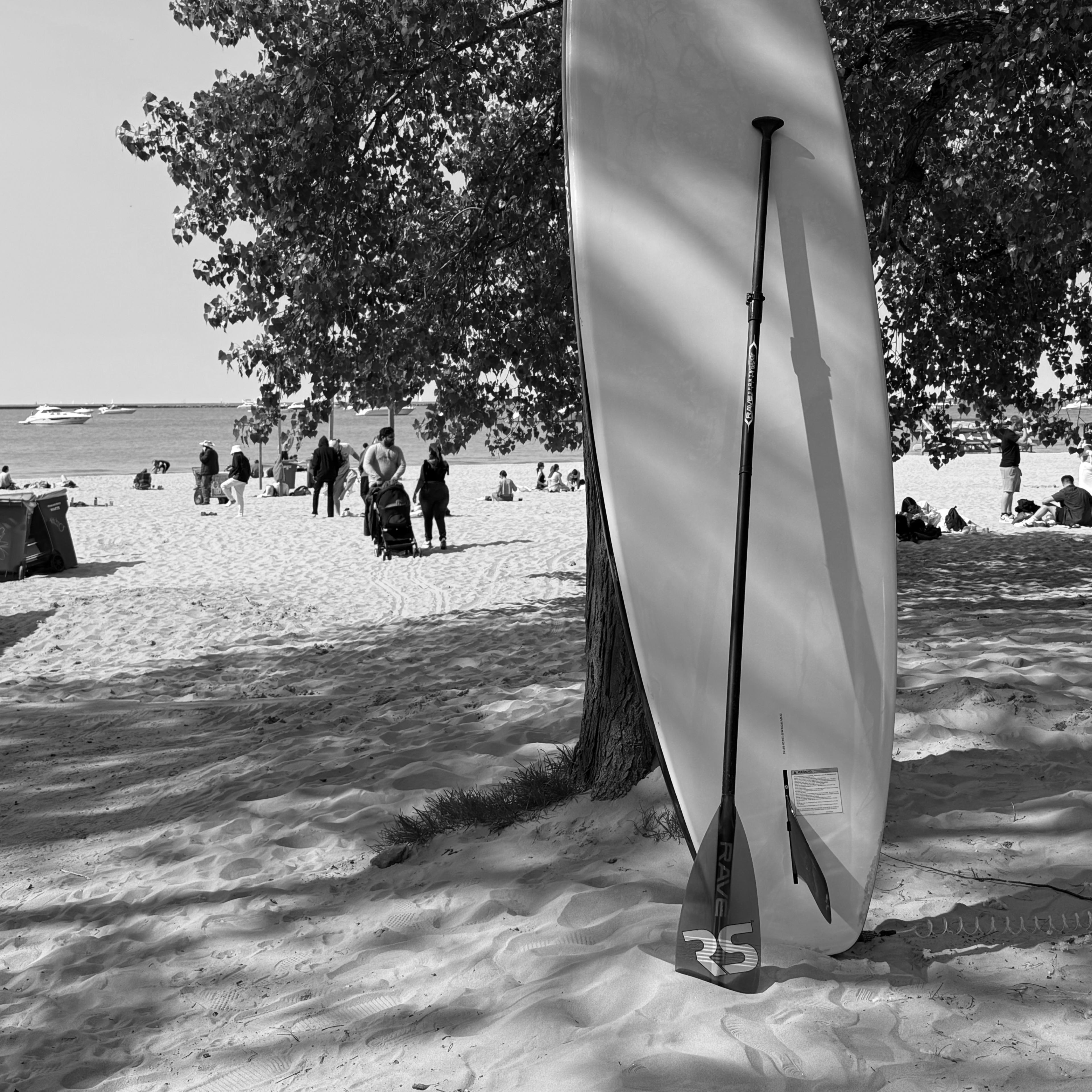 Paddleboard Rentals at Ohio Street Beach