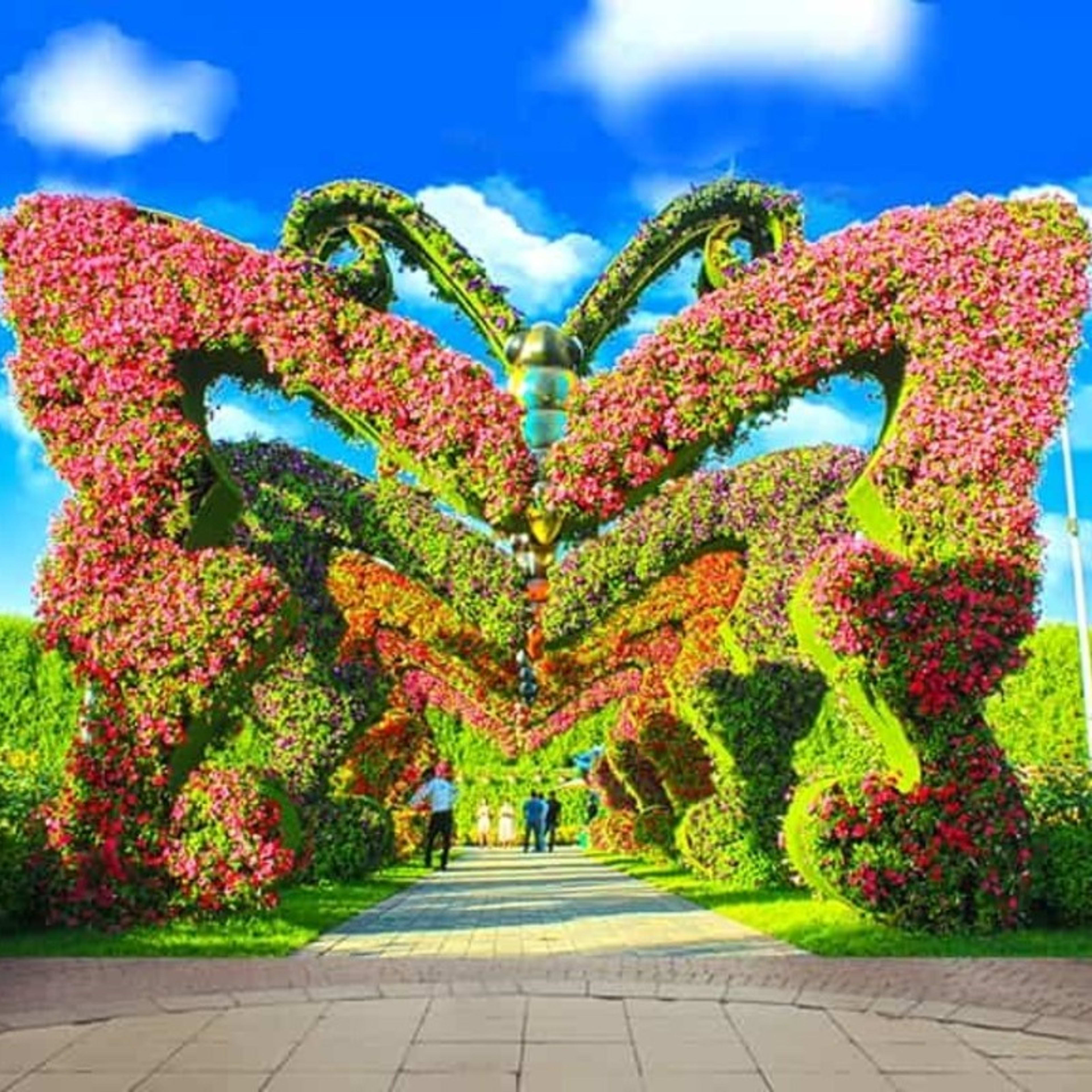 Schmetterlingsgarten Dubai