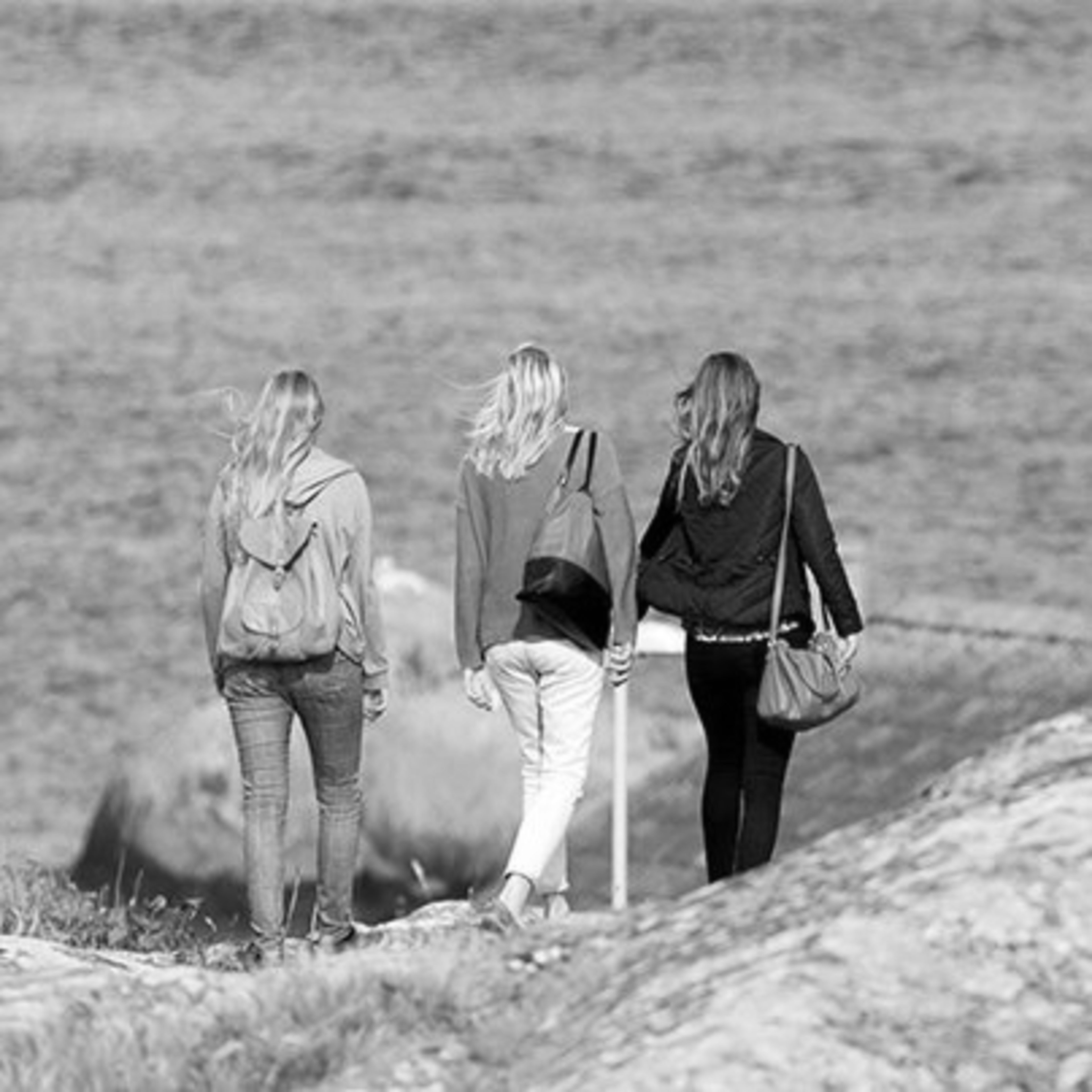 Guided Tour to Vinga