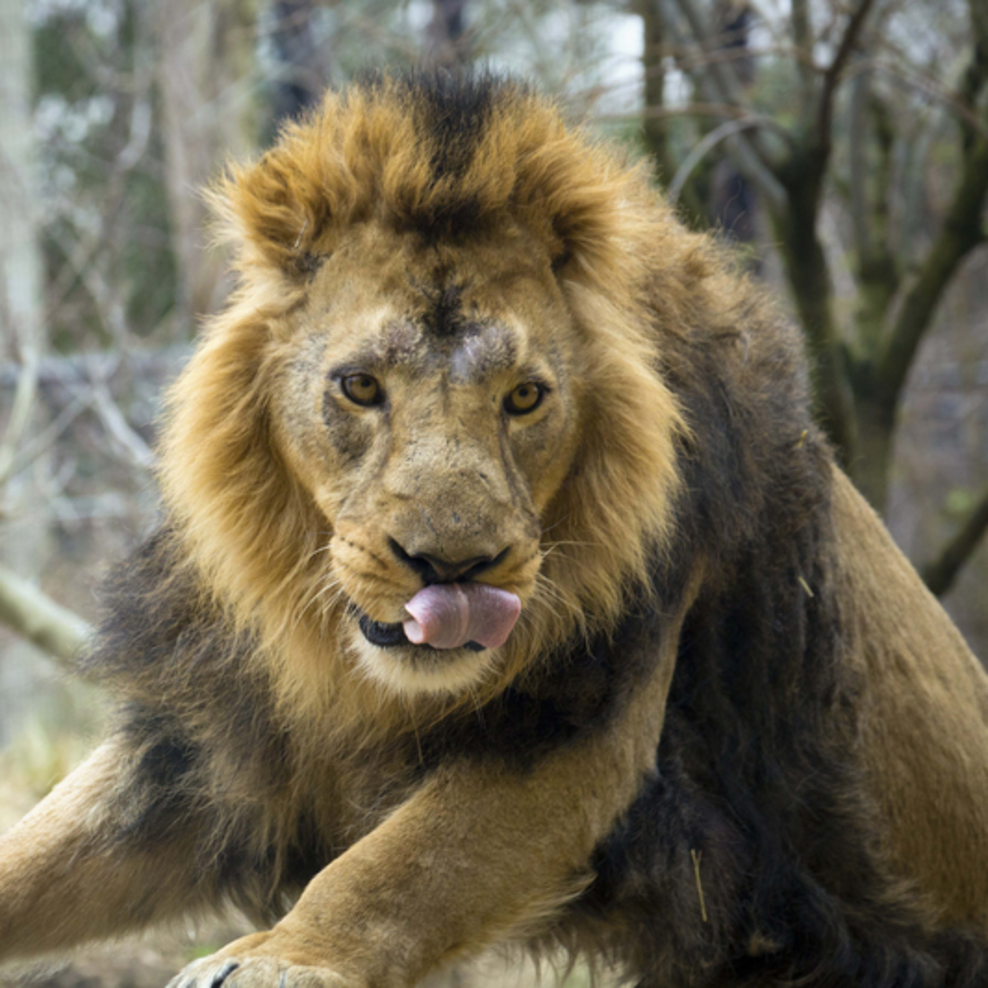 London Zoo