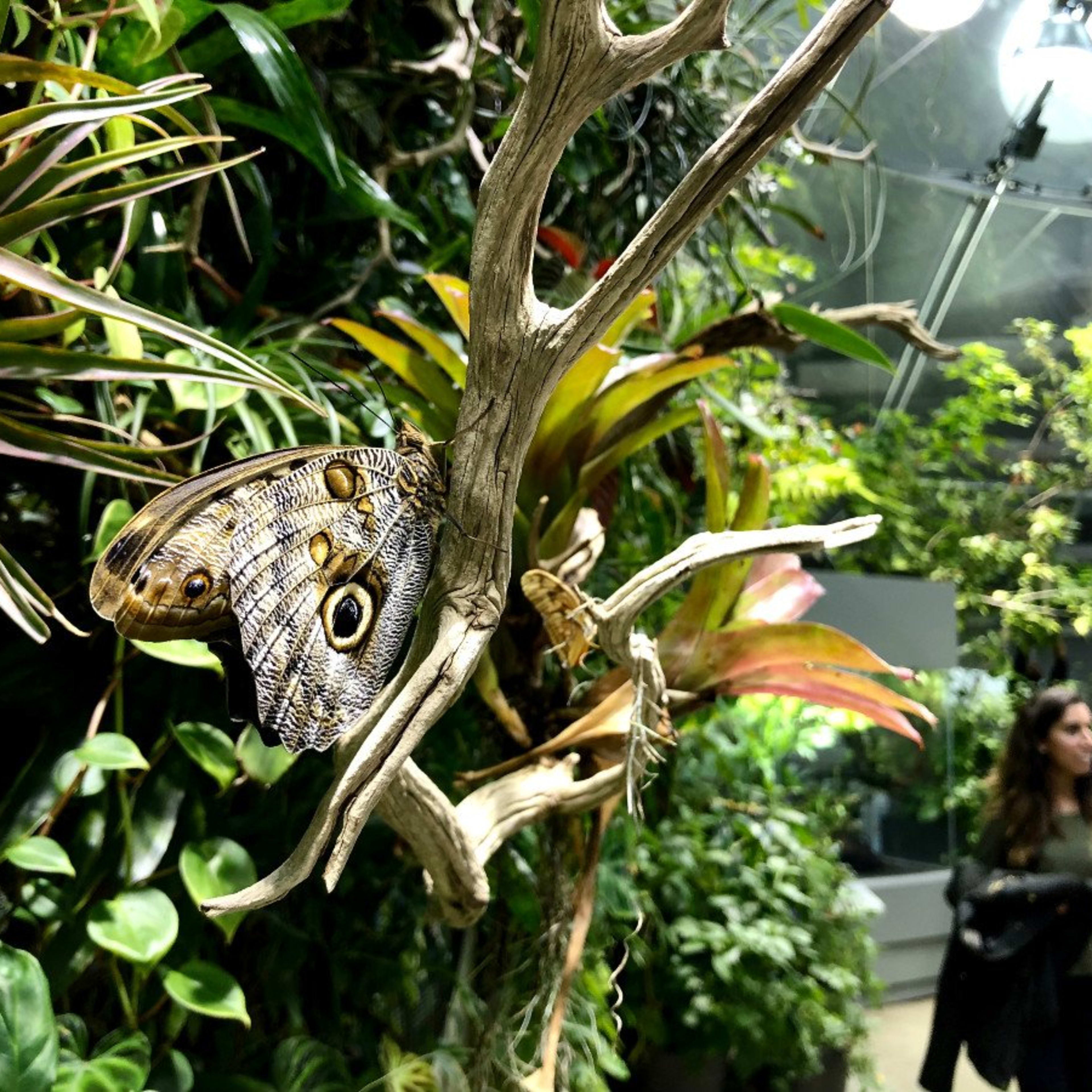 Science Centre California