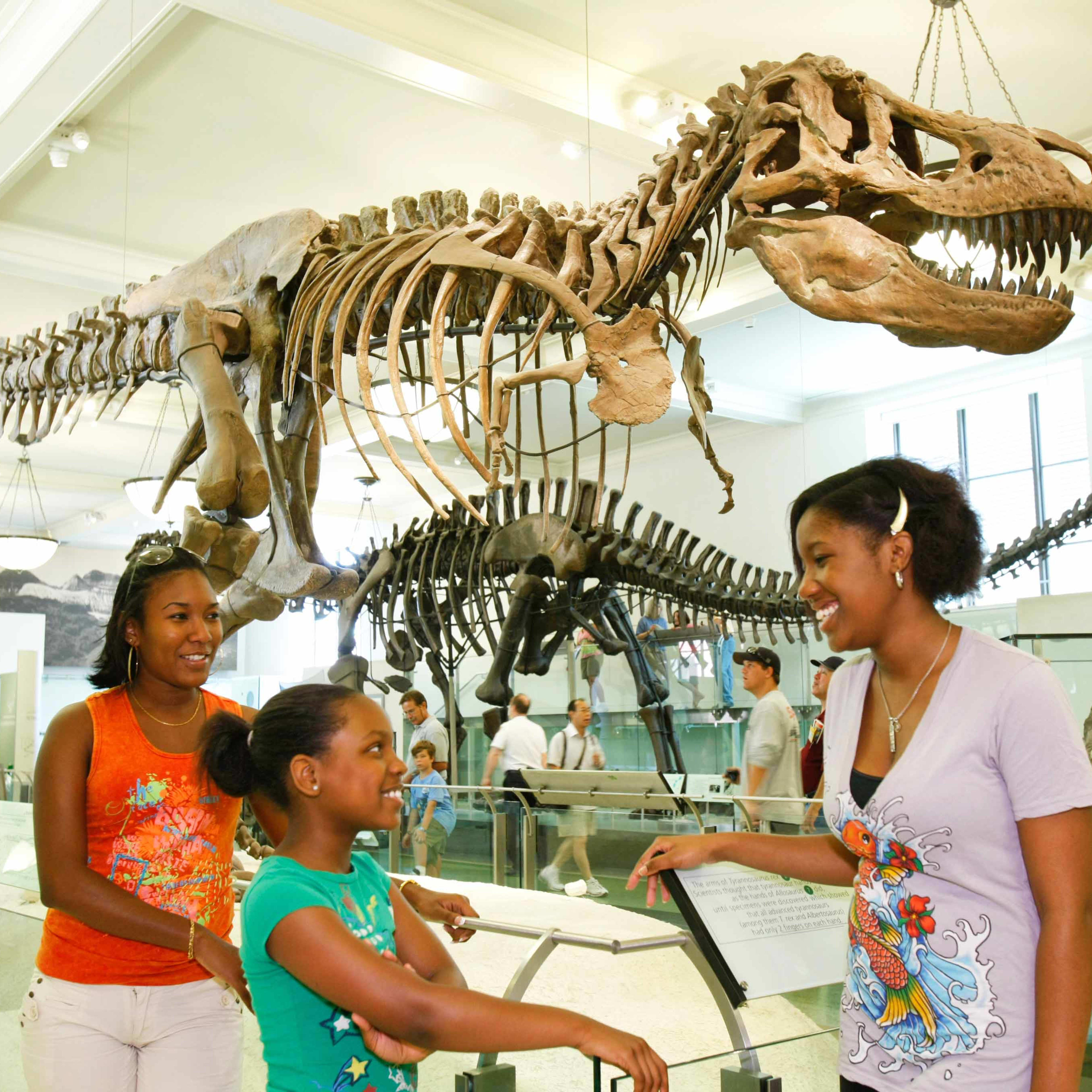 Musée américain d'Histoire naturelle