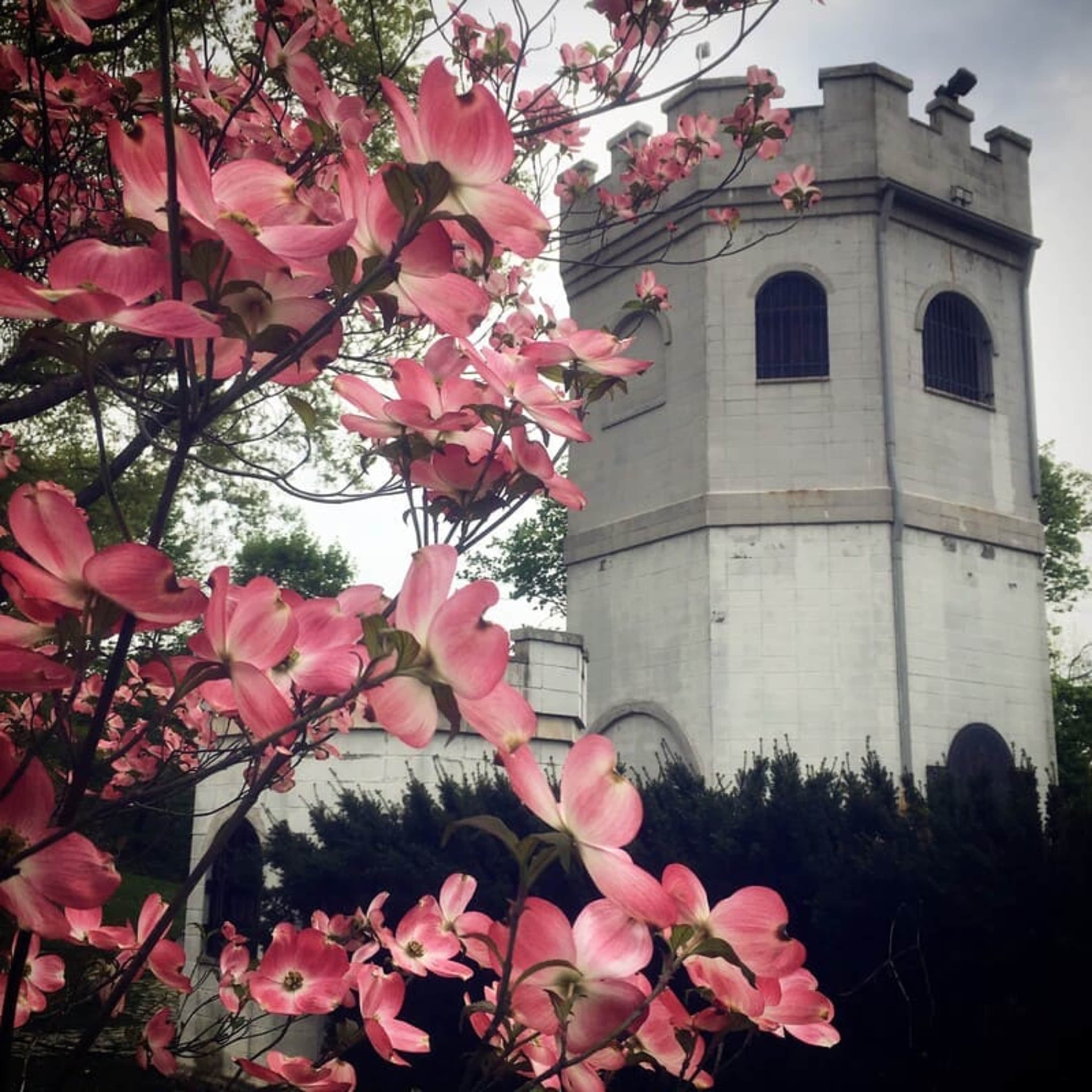 Blick auf einen Turm und Blüten im Connie Gretz Secret Garden