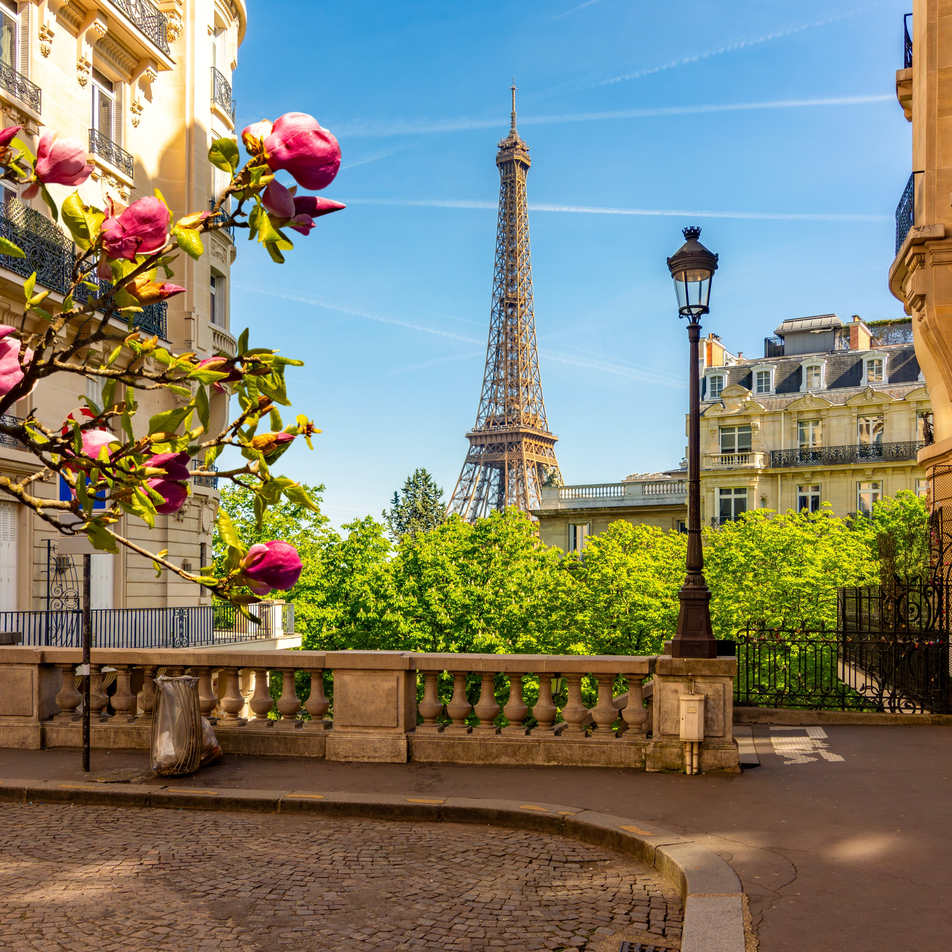 Paris passes