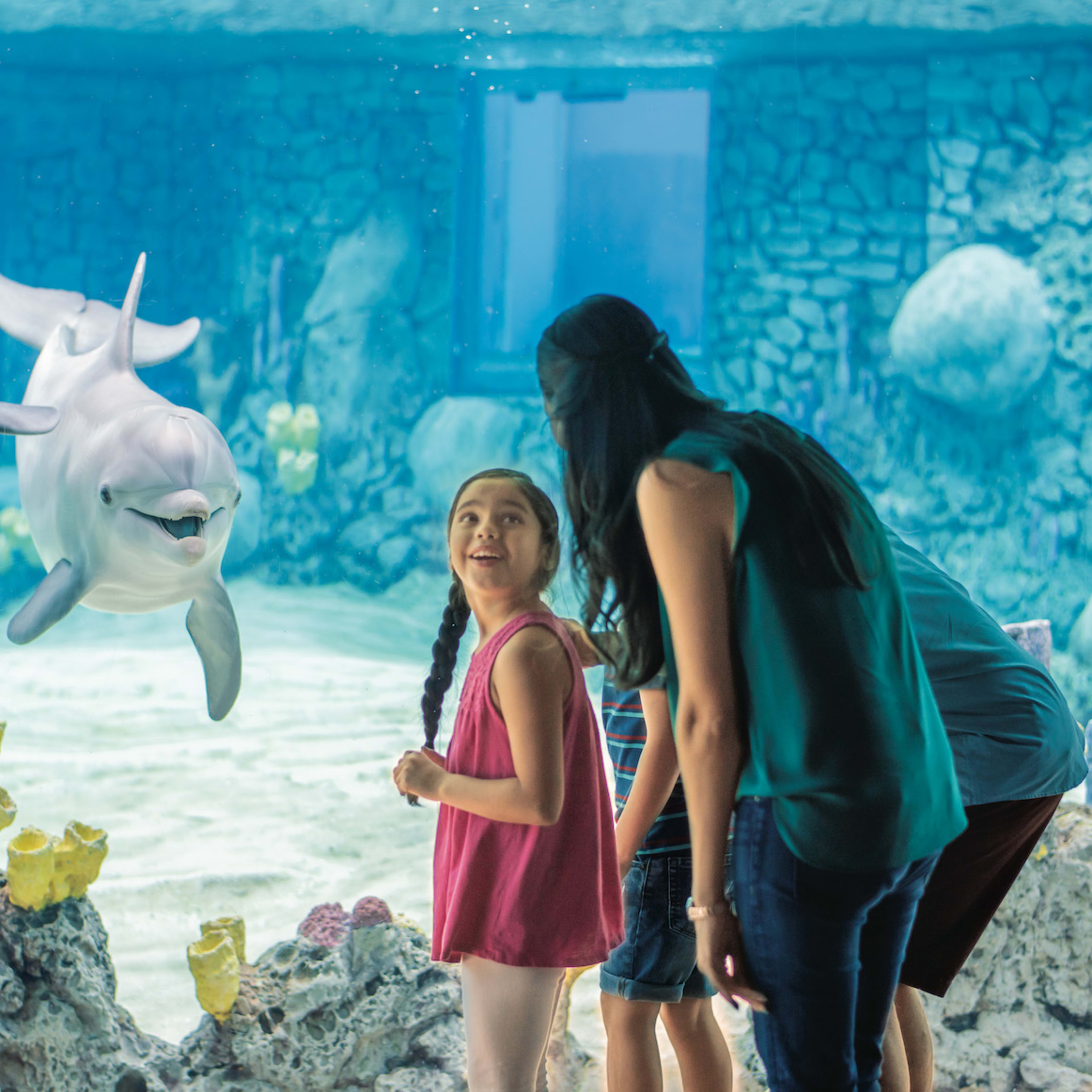 Seaworld | Go San Antonio Pass