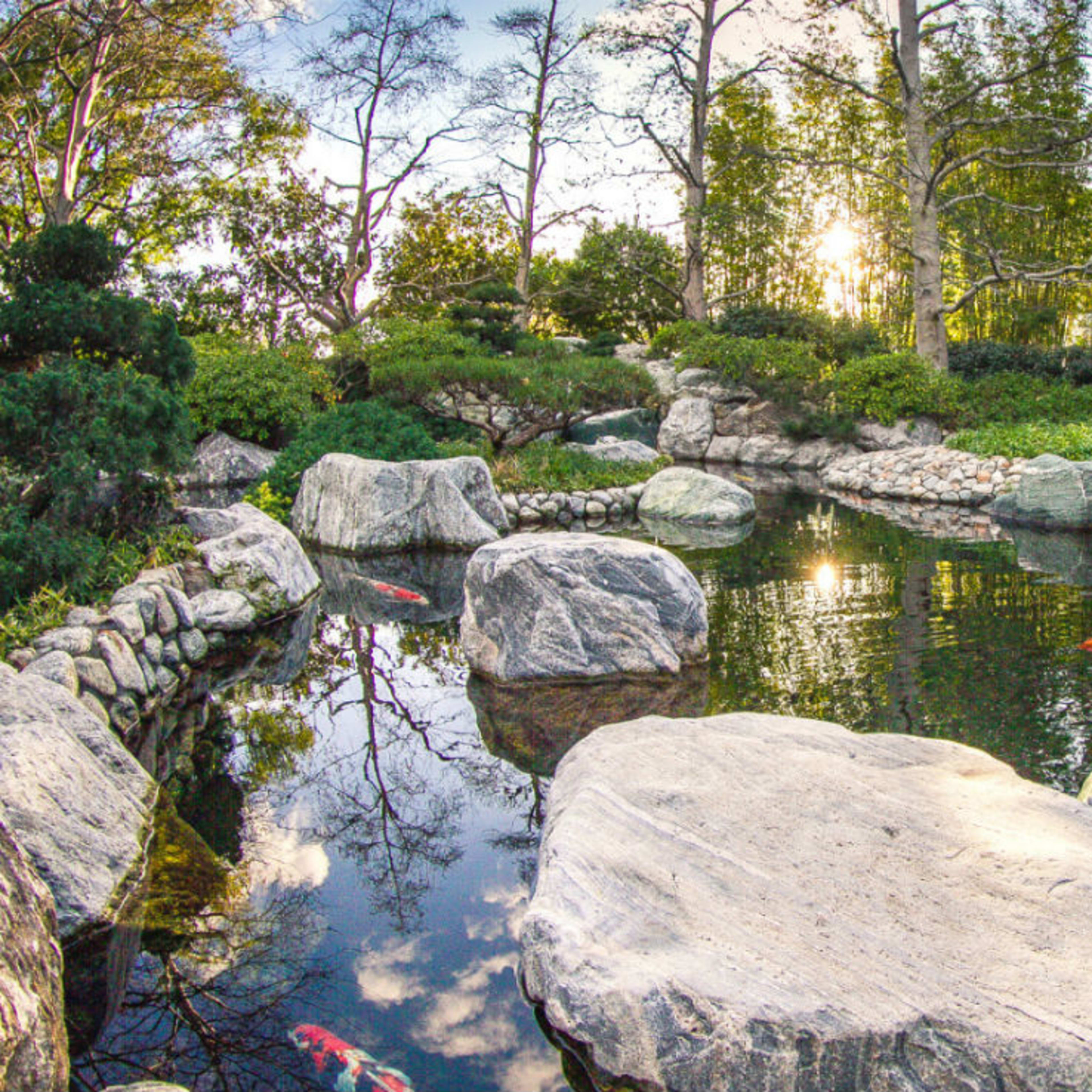 Japanese Friendship Garden San Diego