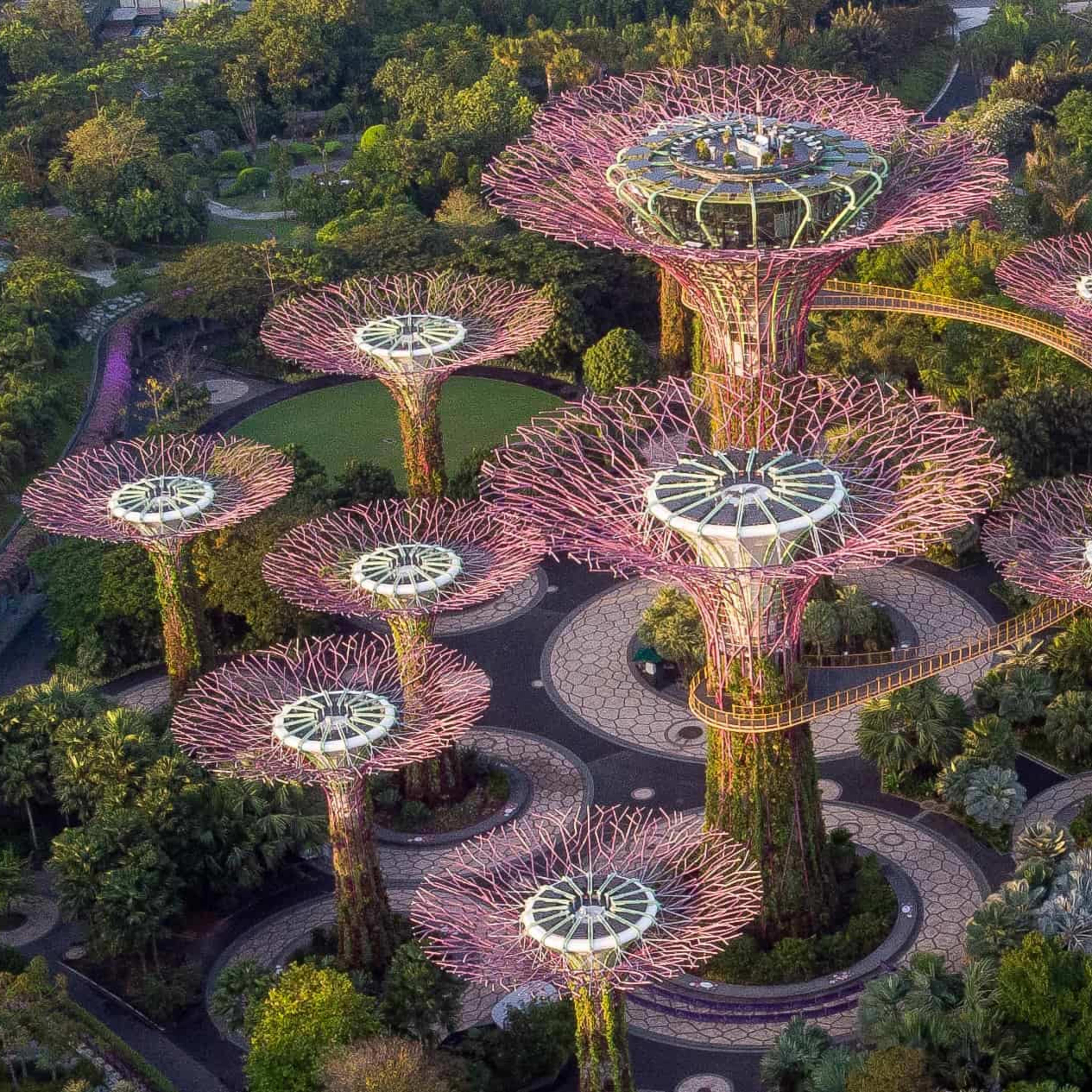 新加坡的推荐活动| Go City®通票