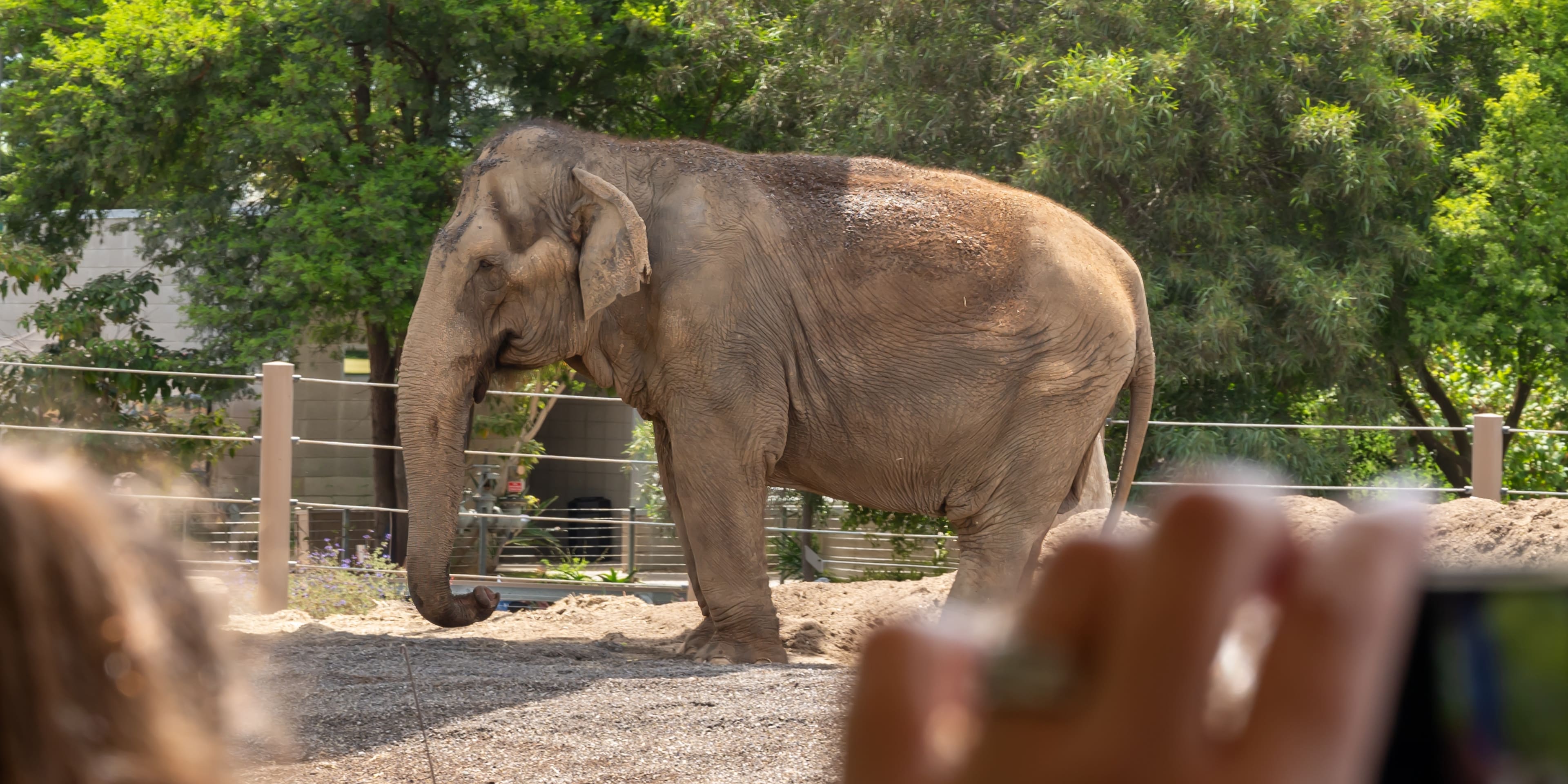 San Diego é uma cidade segura? Go City®