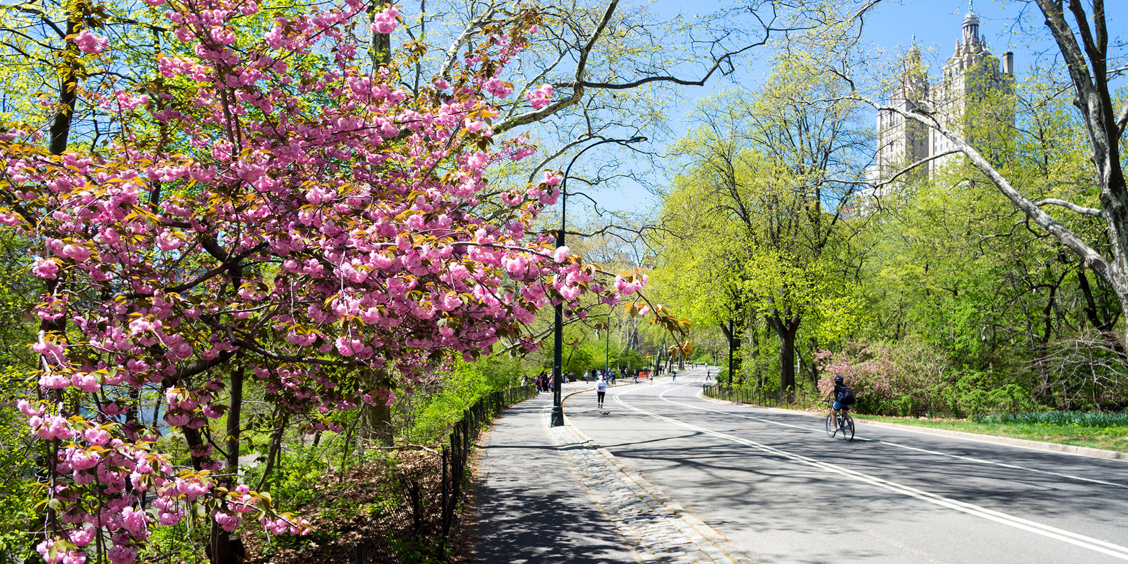 セントラルパーク周辺のベストレストラン