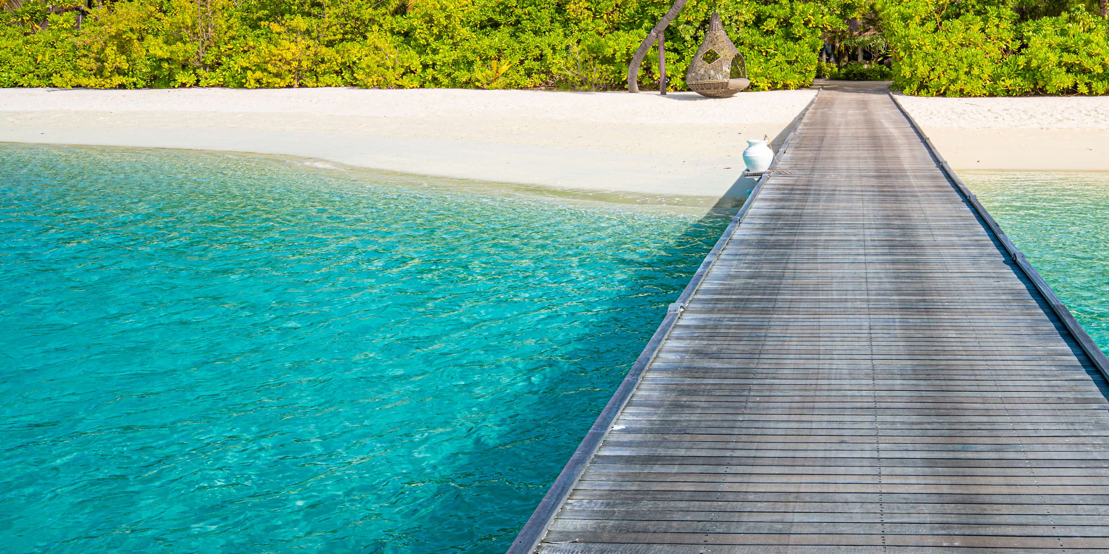 a boardwalk leading into hawaii's magical tropical jungle