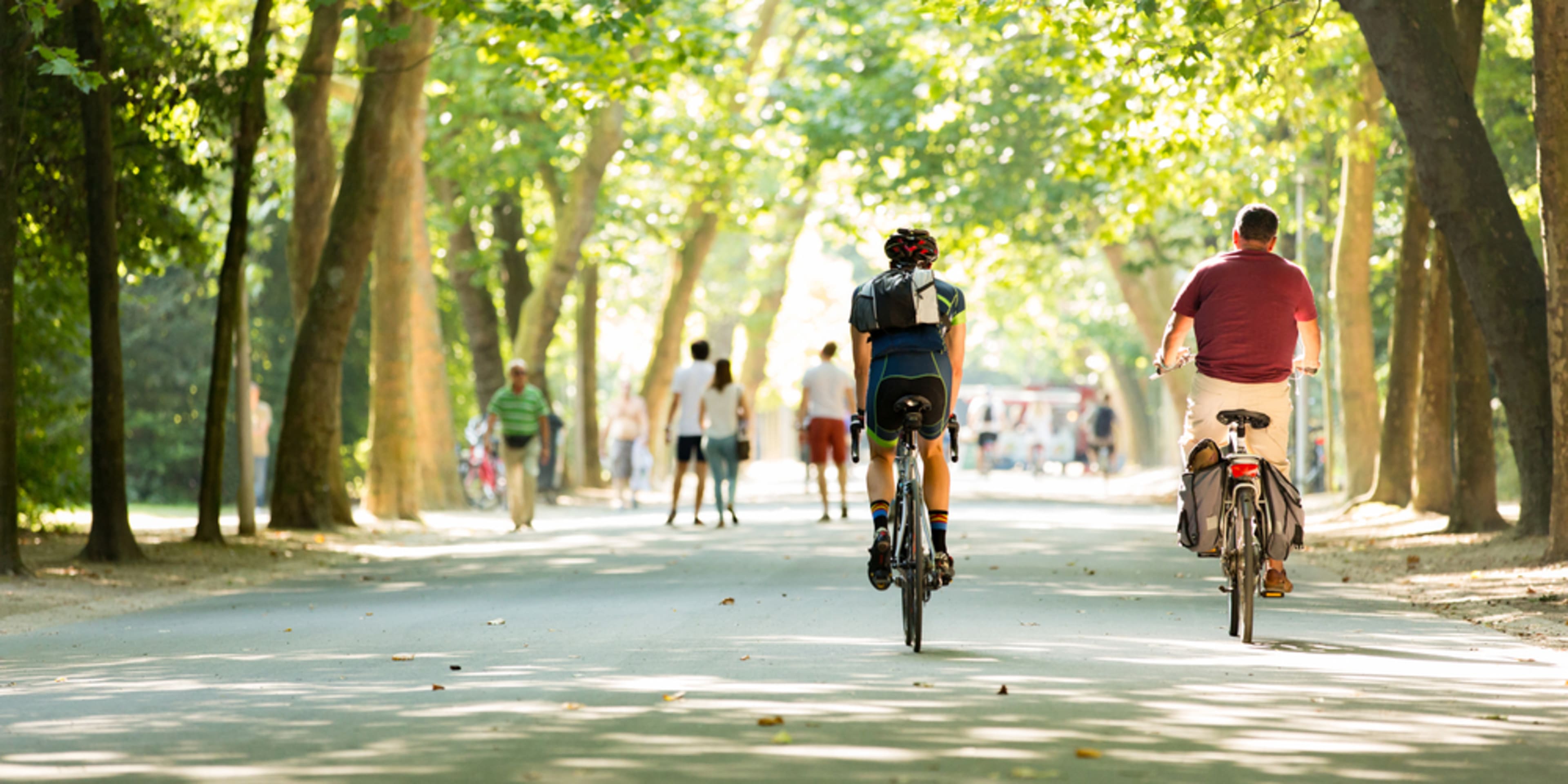 Gente montando en bici y paseando en el parque Vondelpark, Ámsterdam. Planes para estudiantes en Ámsterdam.