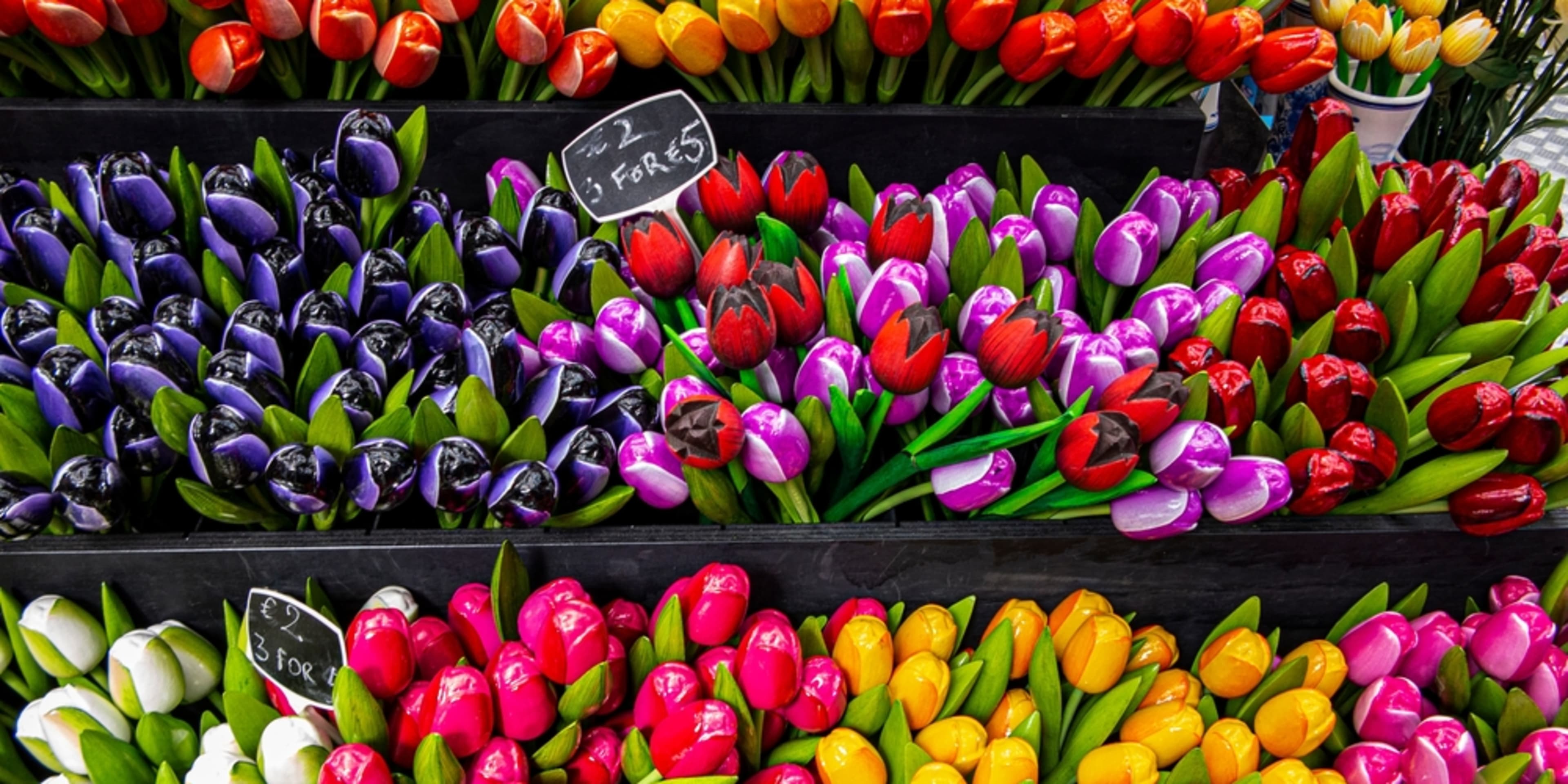 Tulipanes en una tienda de Ámsterdam. Los mejores recuerdos de Ámsterdam.