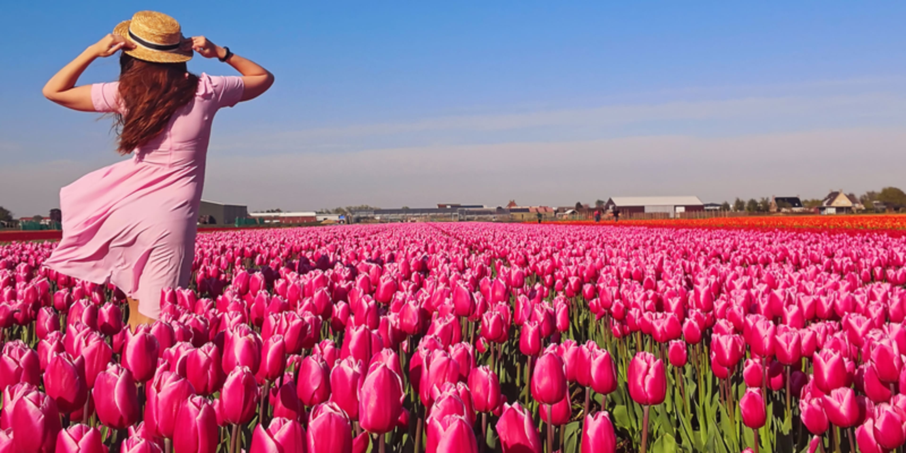 romancing the netherlands