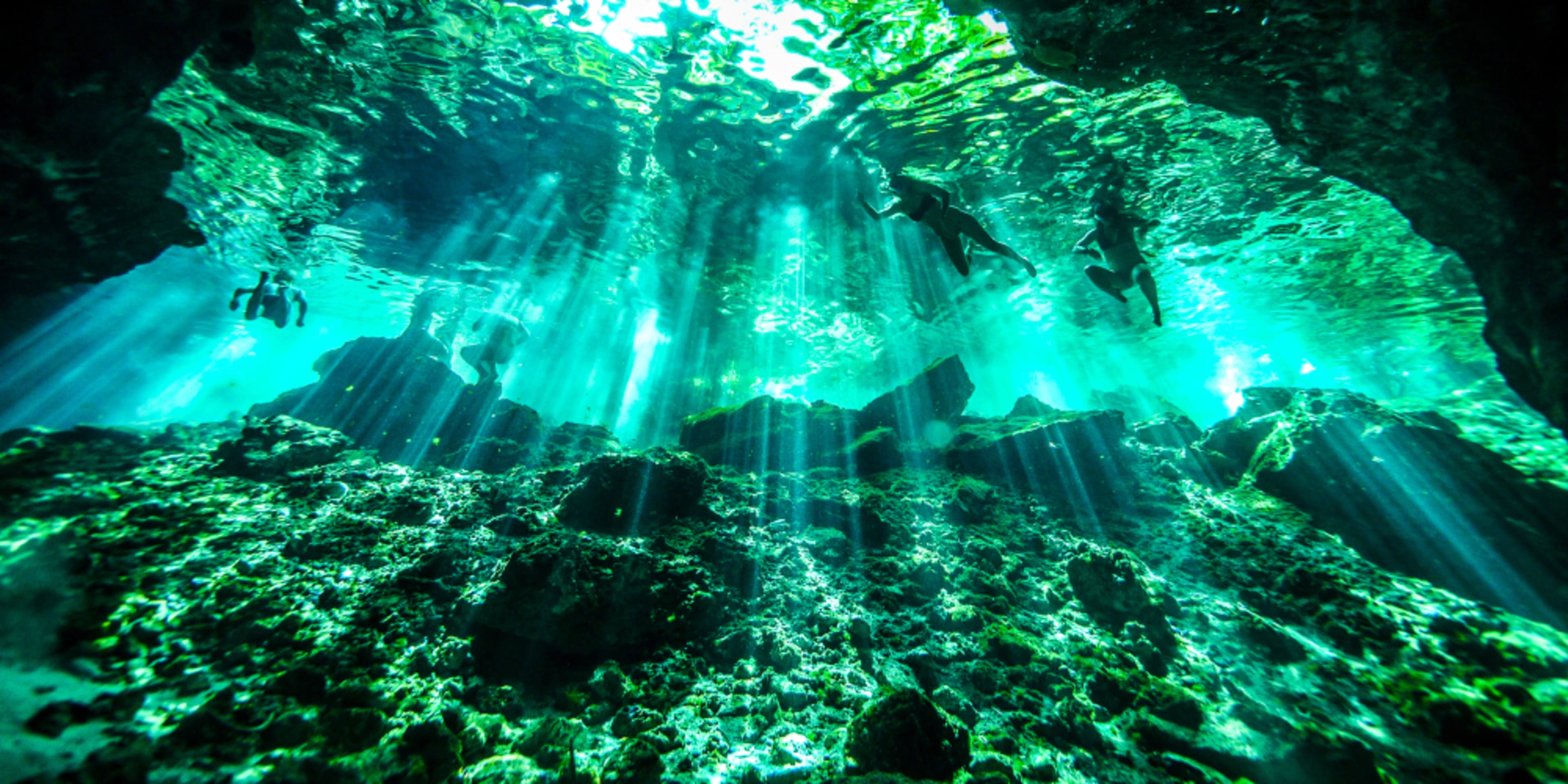 Buceadores en un cenote, Cancún. Comparativa entre Xel-Ha y Xcaret.