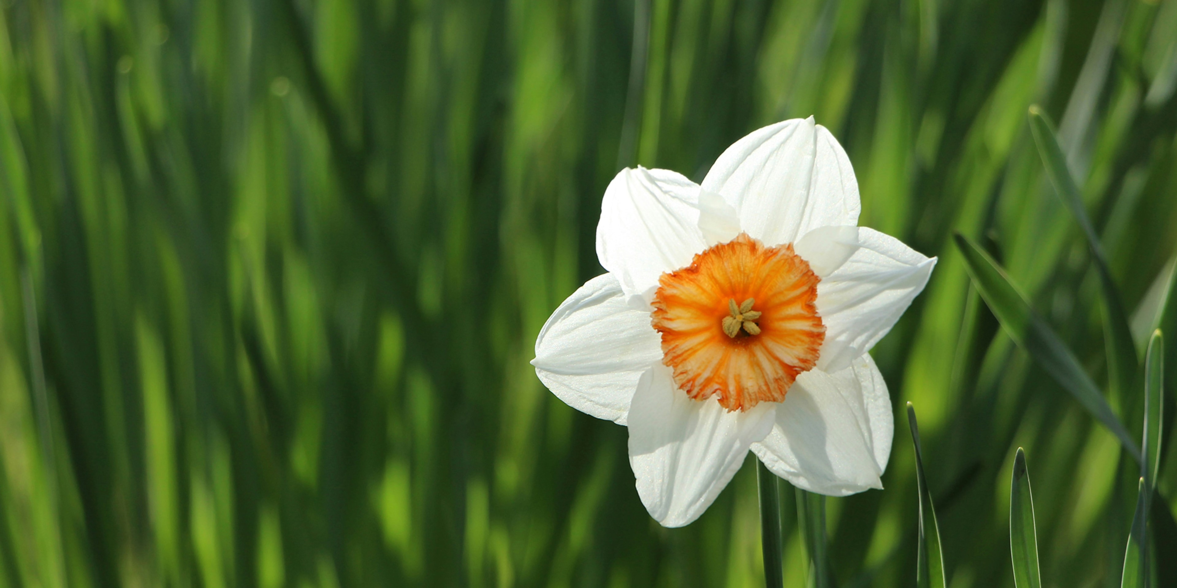 Dublin im Frühling