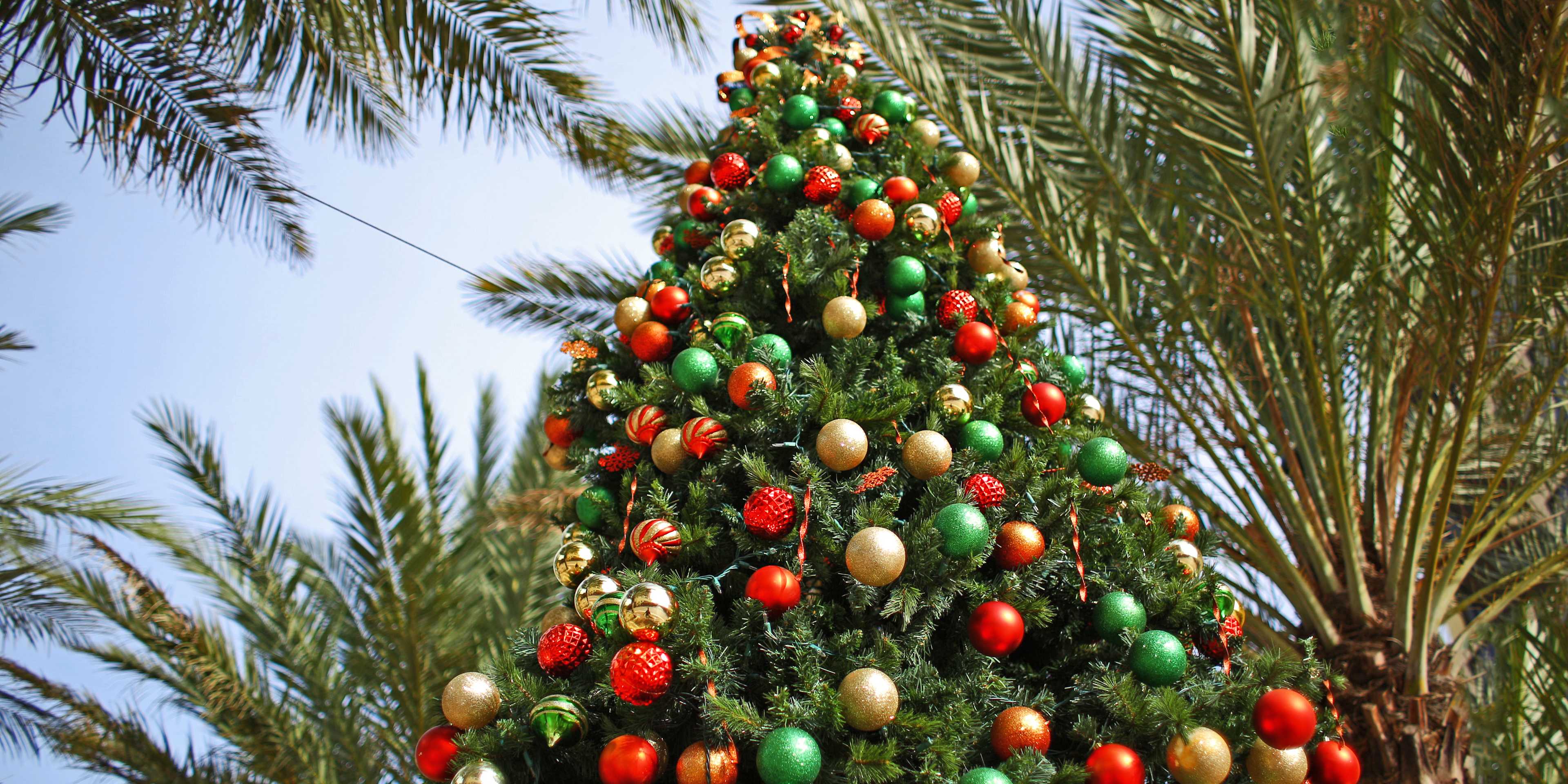 Christmas Tree with palm trees behind it in Los Angeles