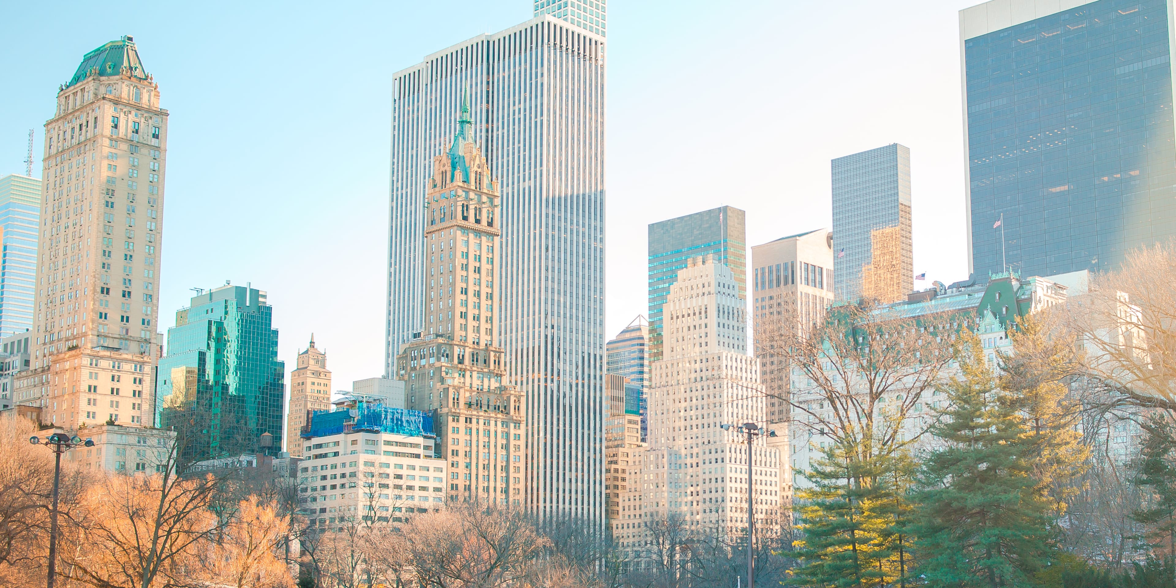 wollman rink