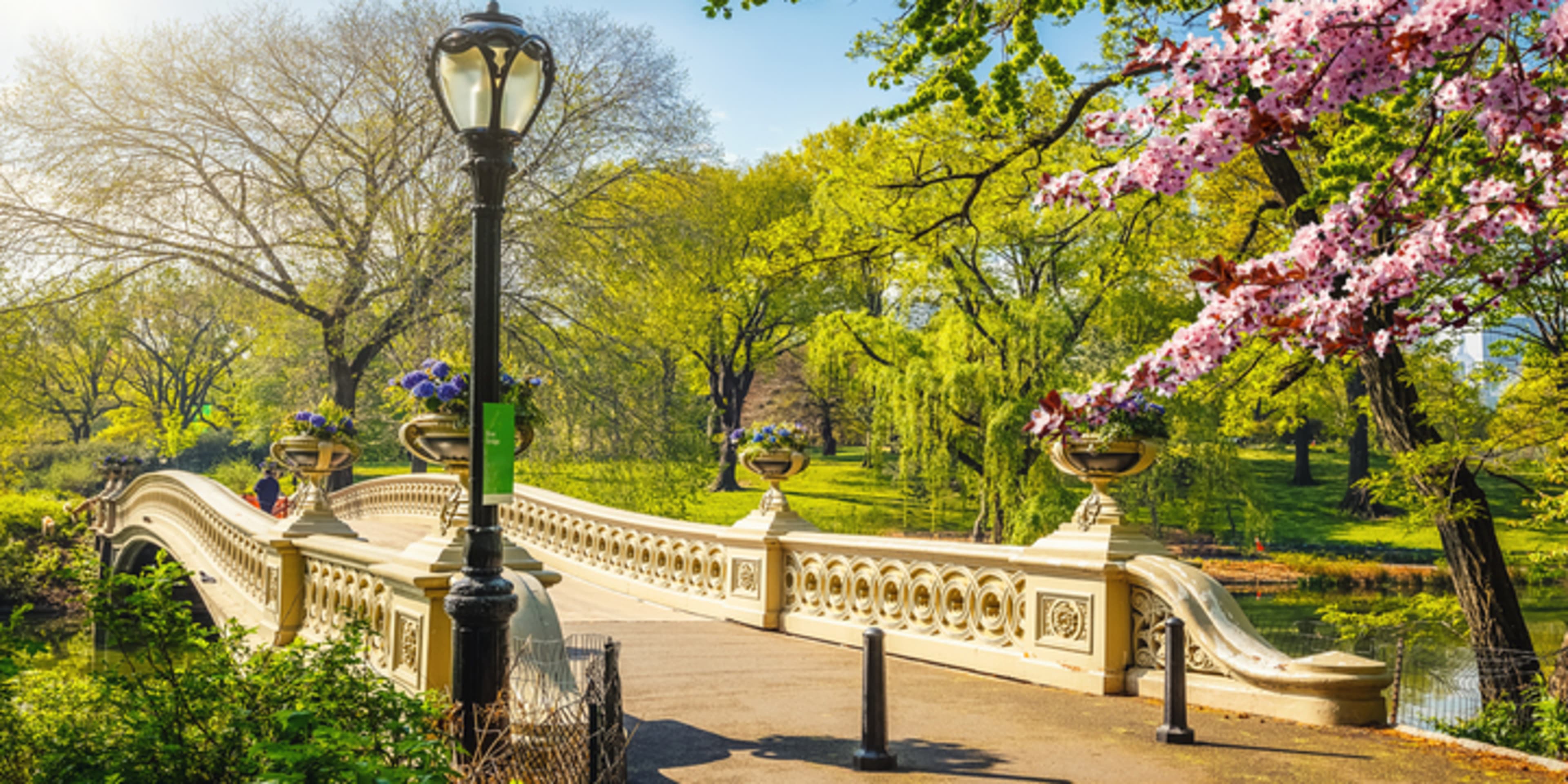 Choses à faire à New York pour les personnes âgées | New York Pass®