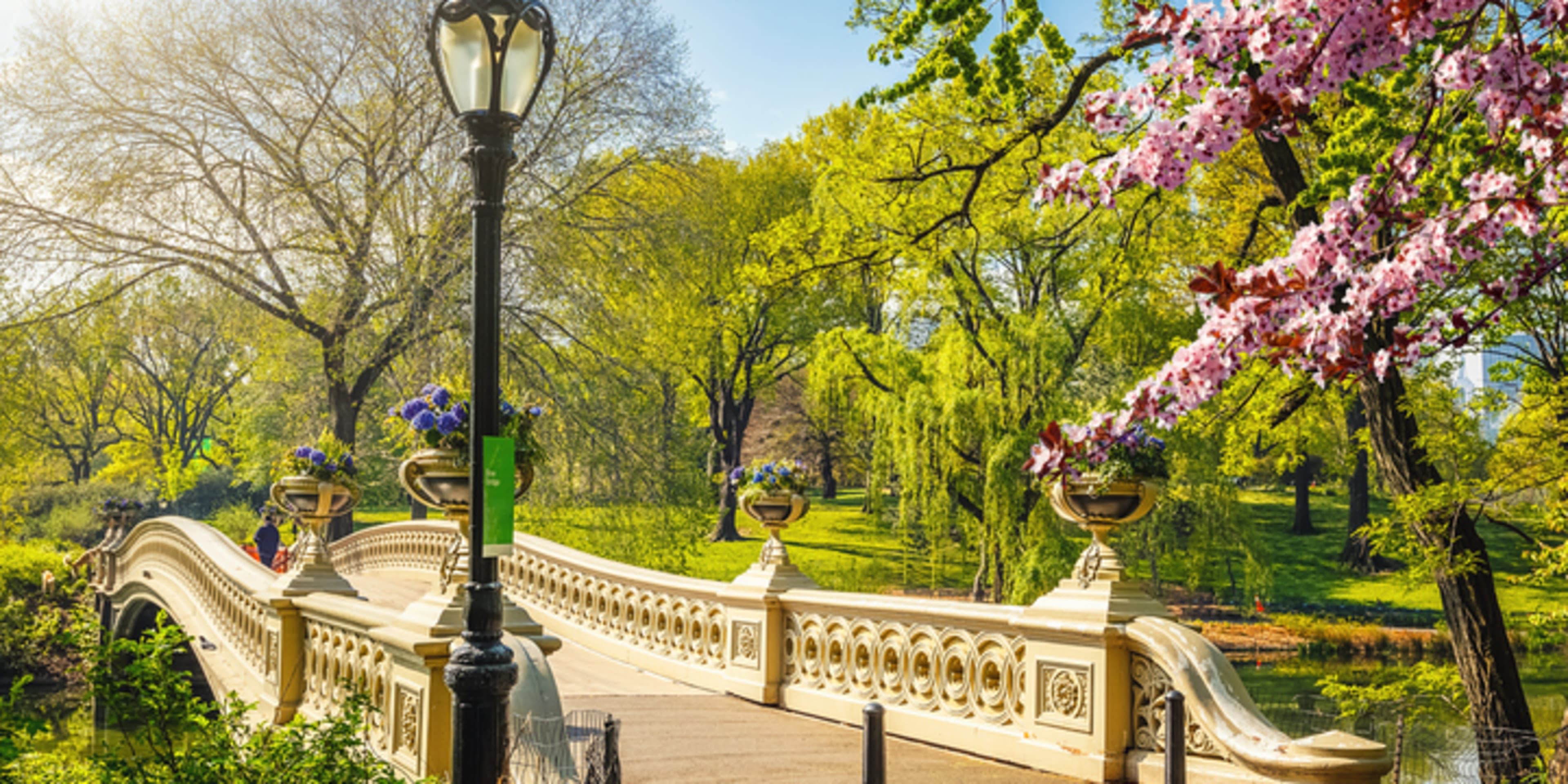 central park new york