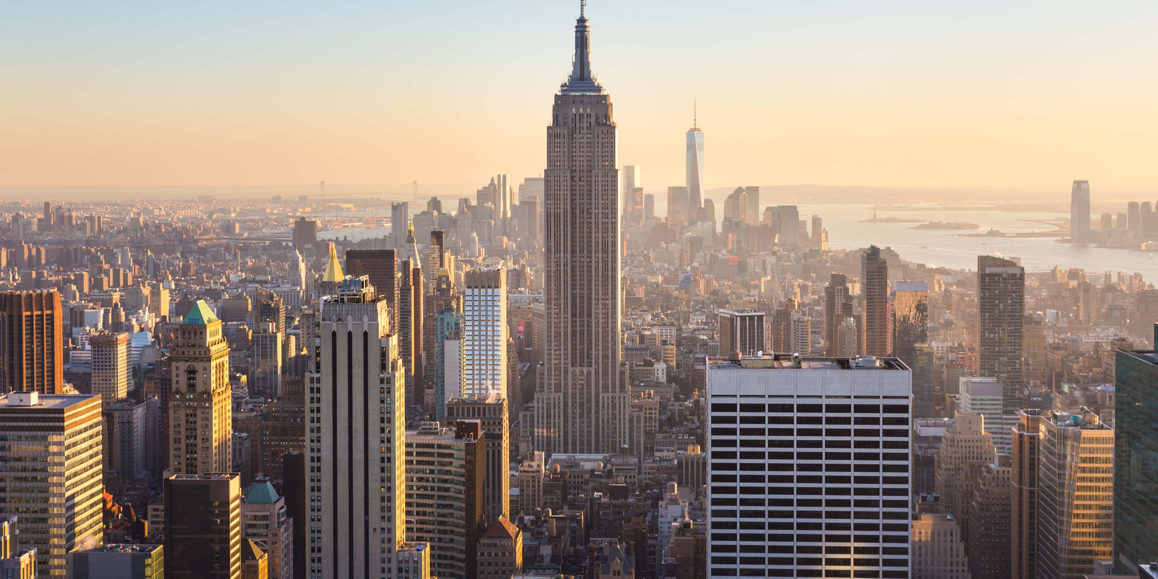 shot of the empire state building and the NYC skyline