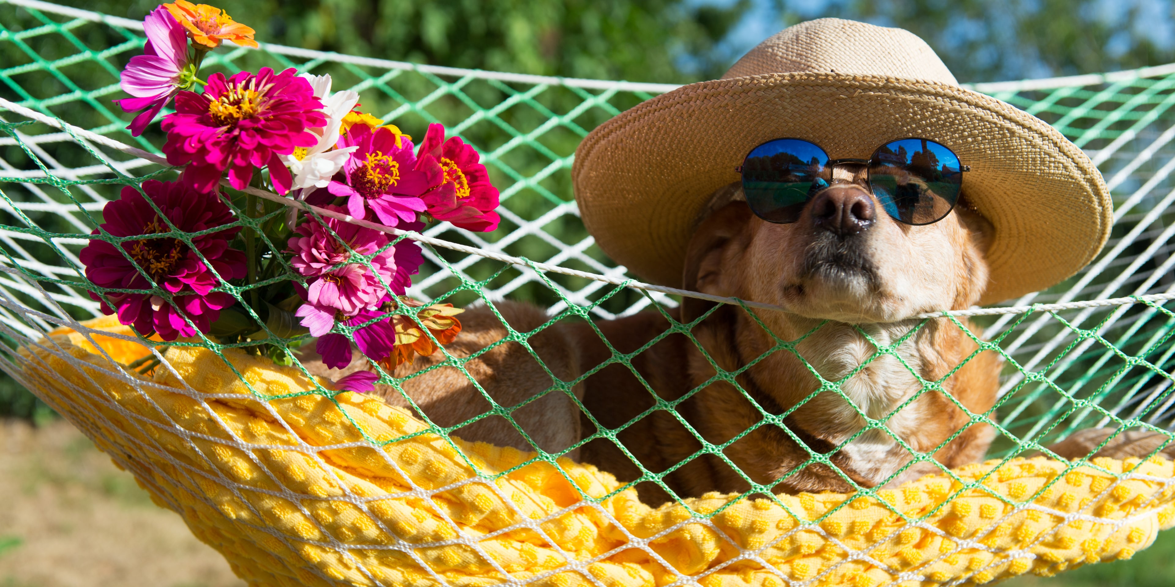 The Lazy Travellers Guide to Holiday Planning