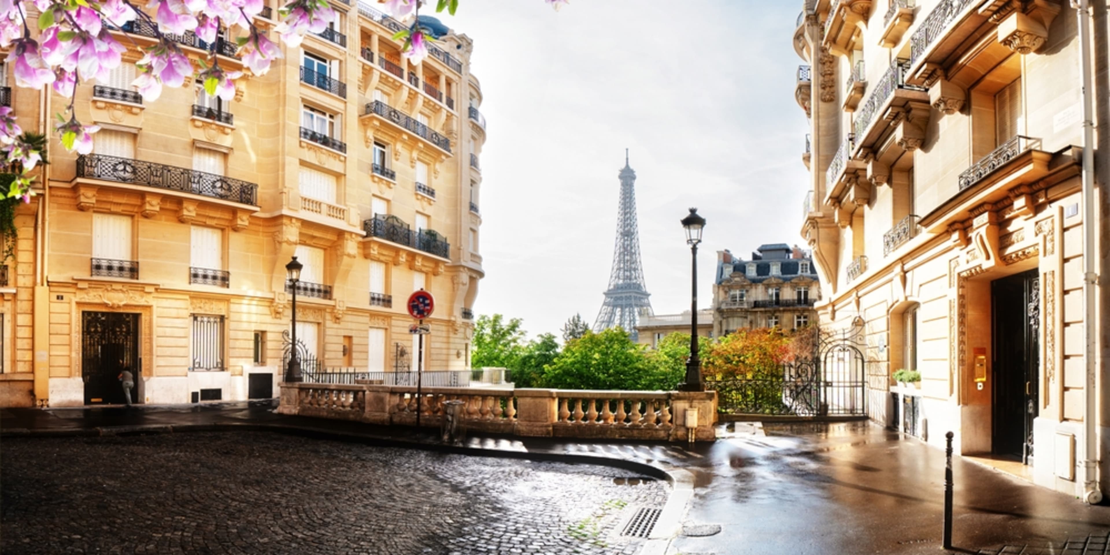 Paris and the Eiffel Tower