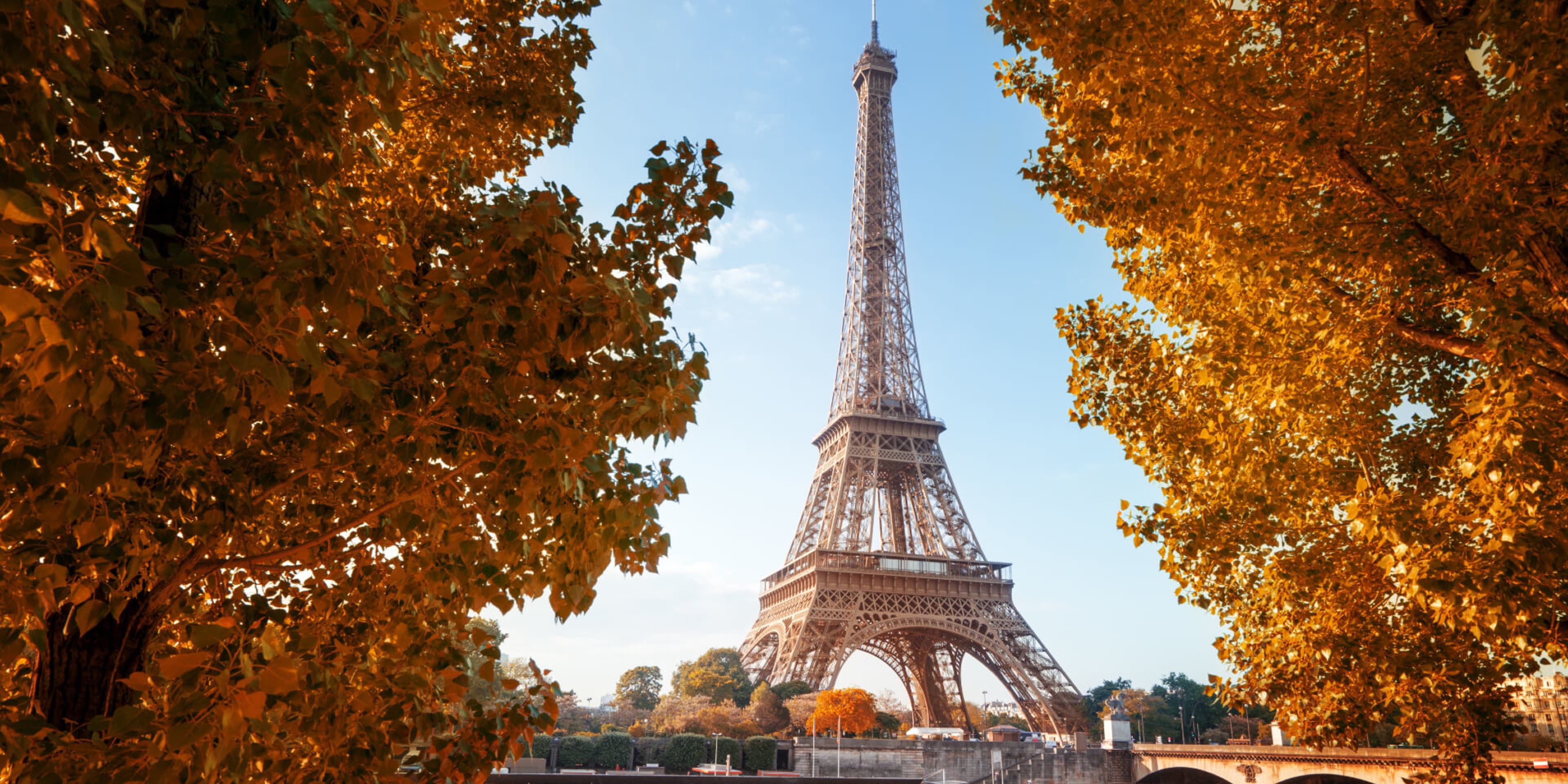 The Eiffel Tower framed by fall color