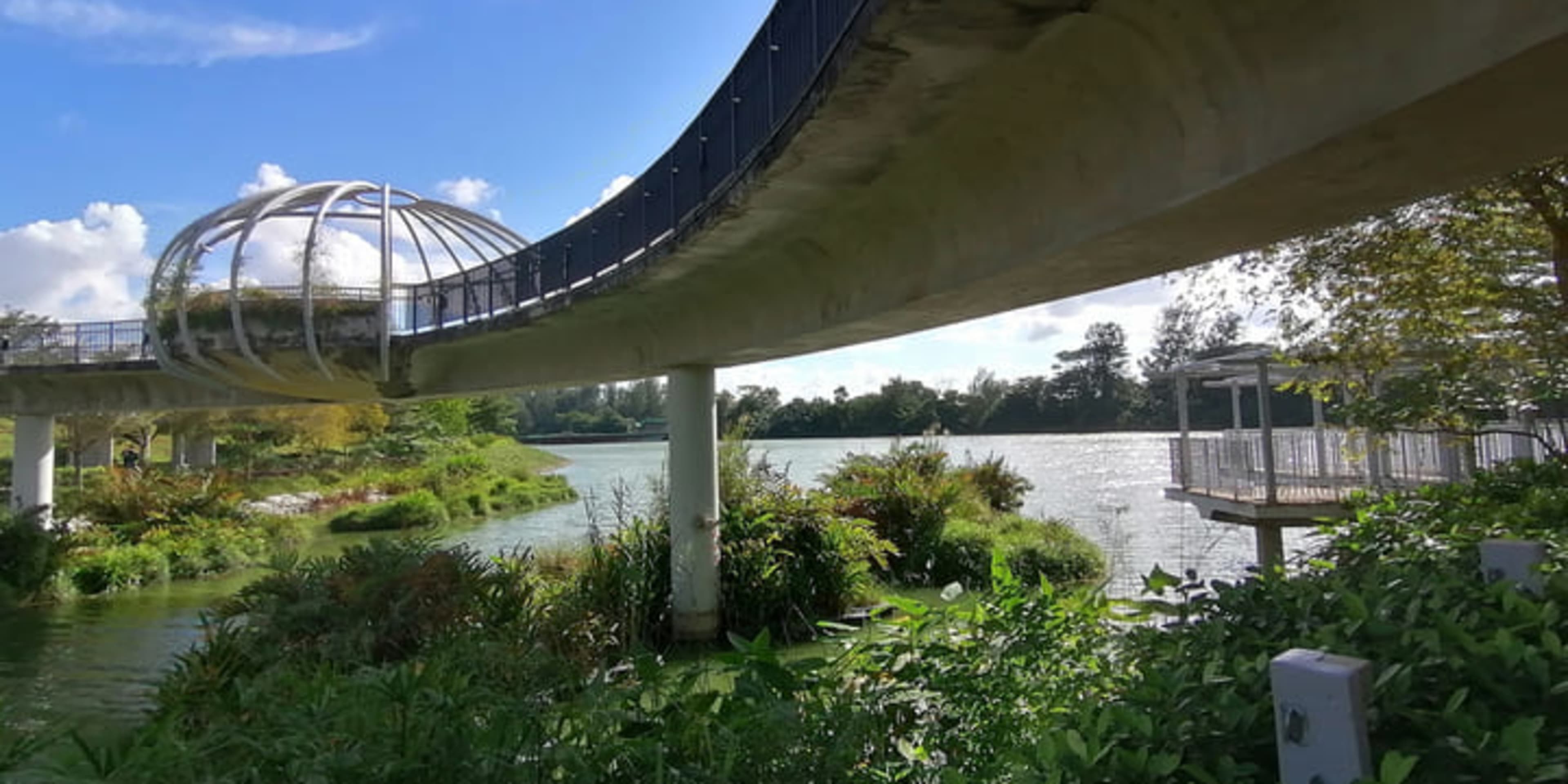 A Jewel Bridge no Punggol Waterway Park em Singapura.