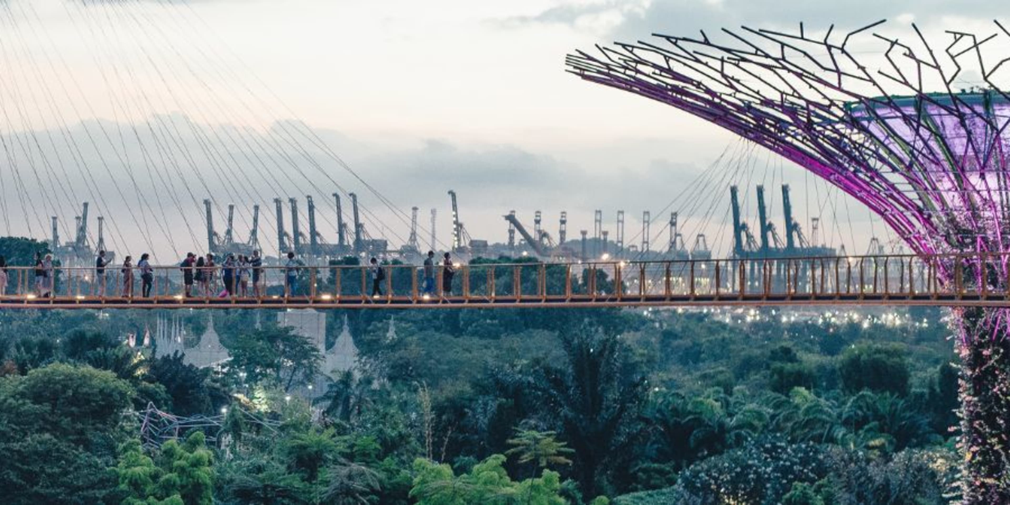 Des personnes sur le pont entre deux supertrees violets de Singapour, avec le paysage urbain en arrière-plan.