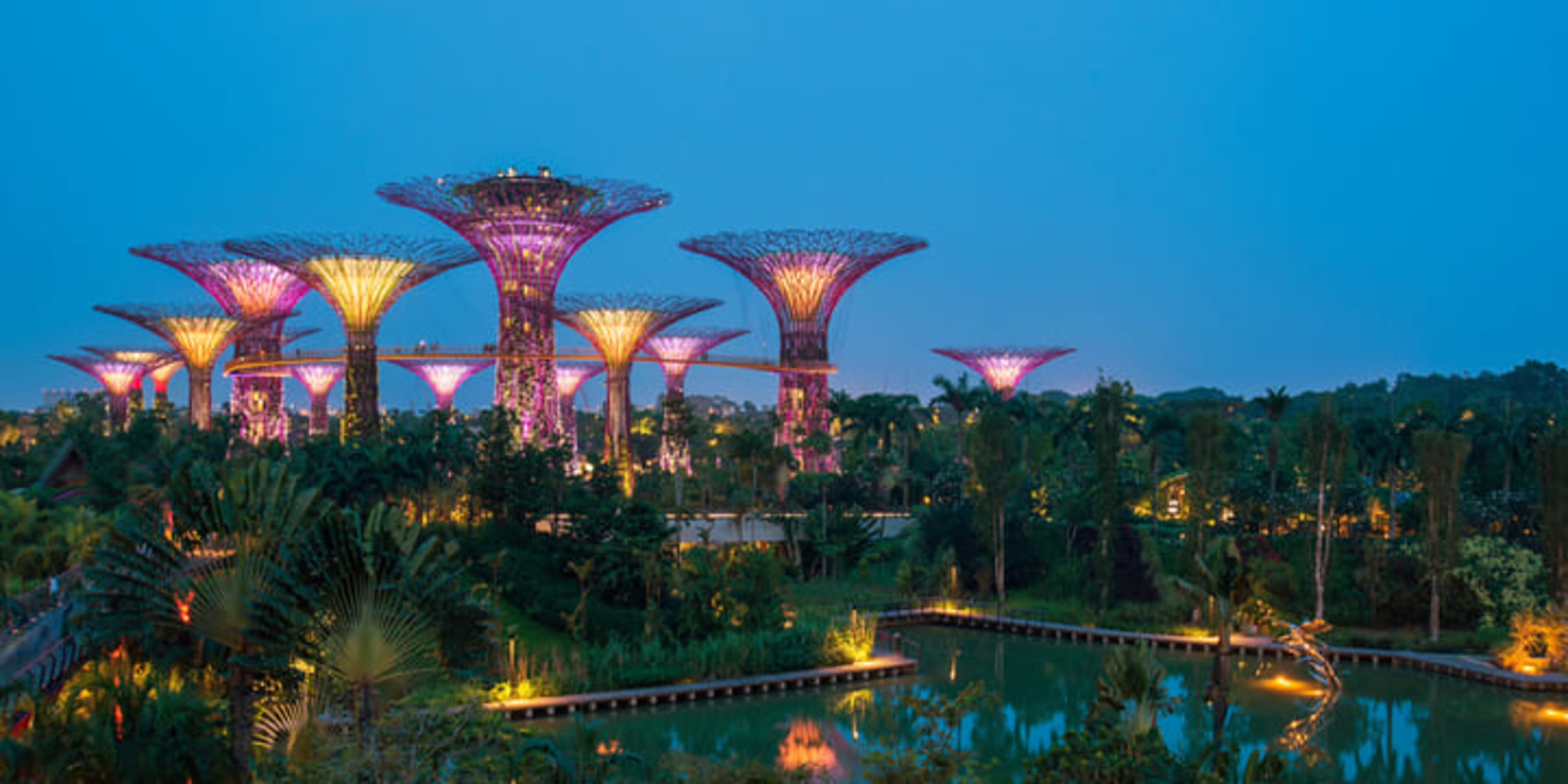 Supertree-Strukturen in der Abenddämmerung in Singapurs Gardens by the Bay.