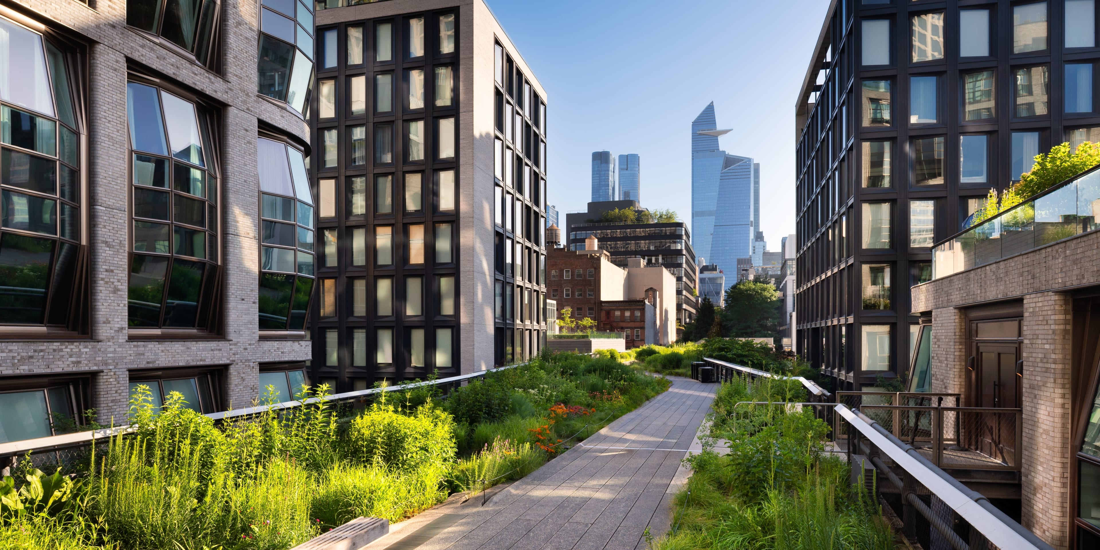the high line in nyc