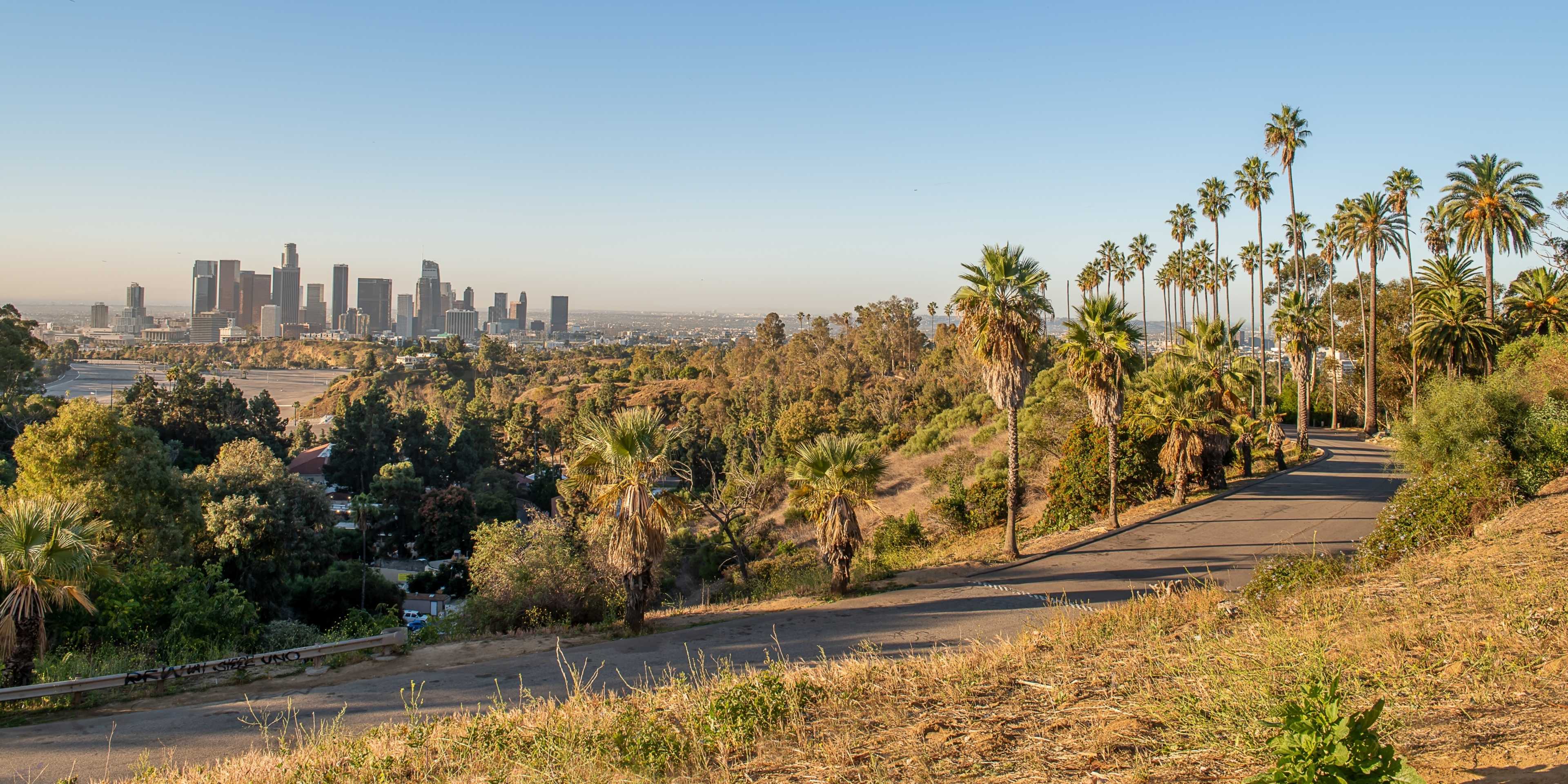 Los Angeles Skyline in Spring