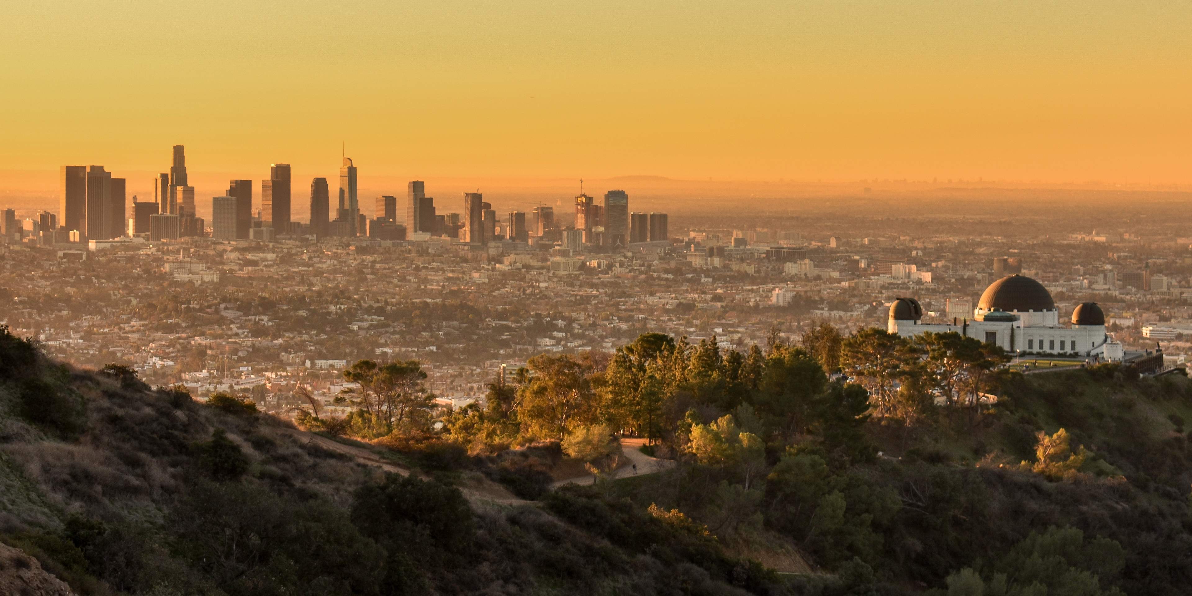 Los Angeles Skyline