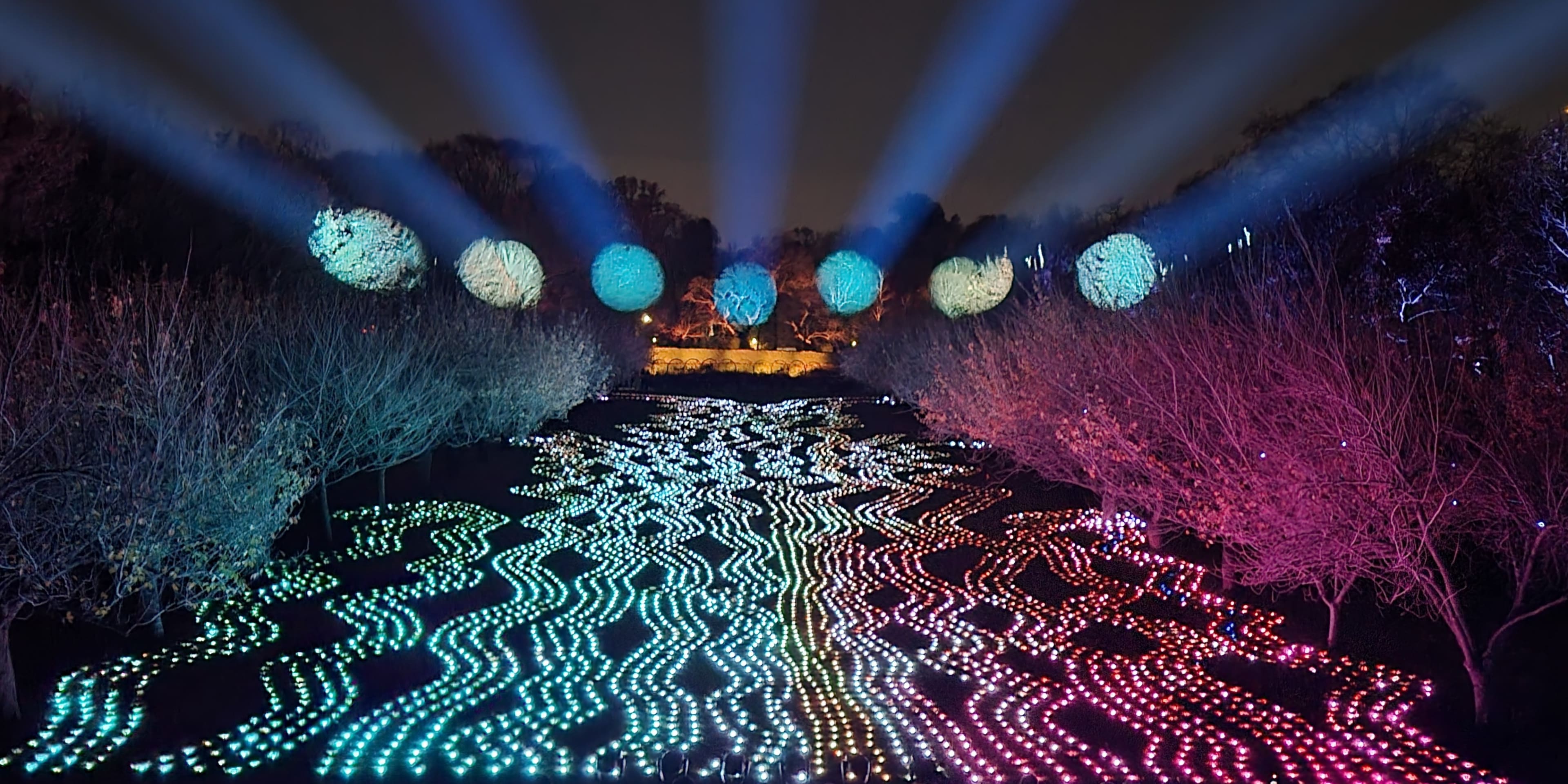 new york botanical garden light show at night