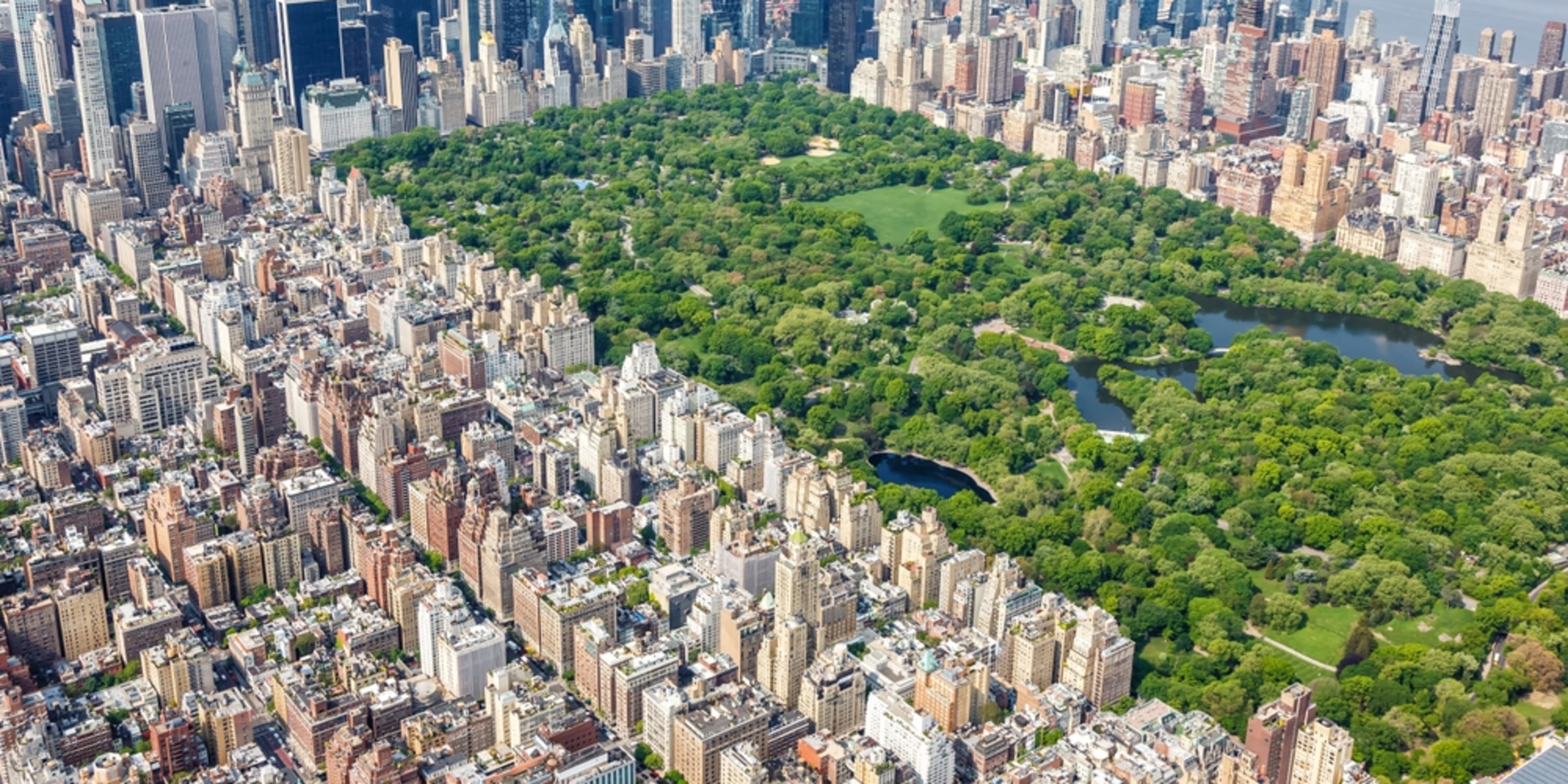 센트럴 파크의 항공 뷰