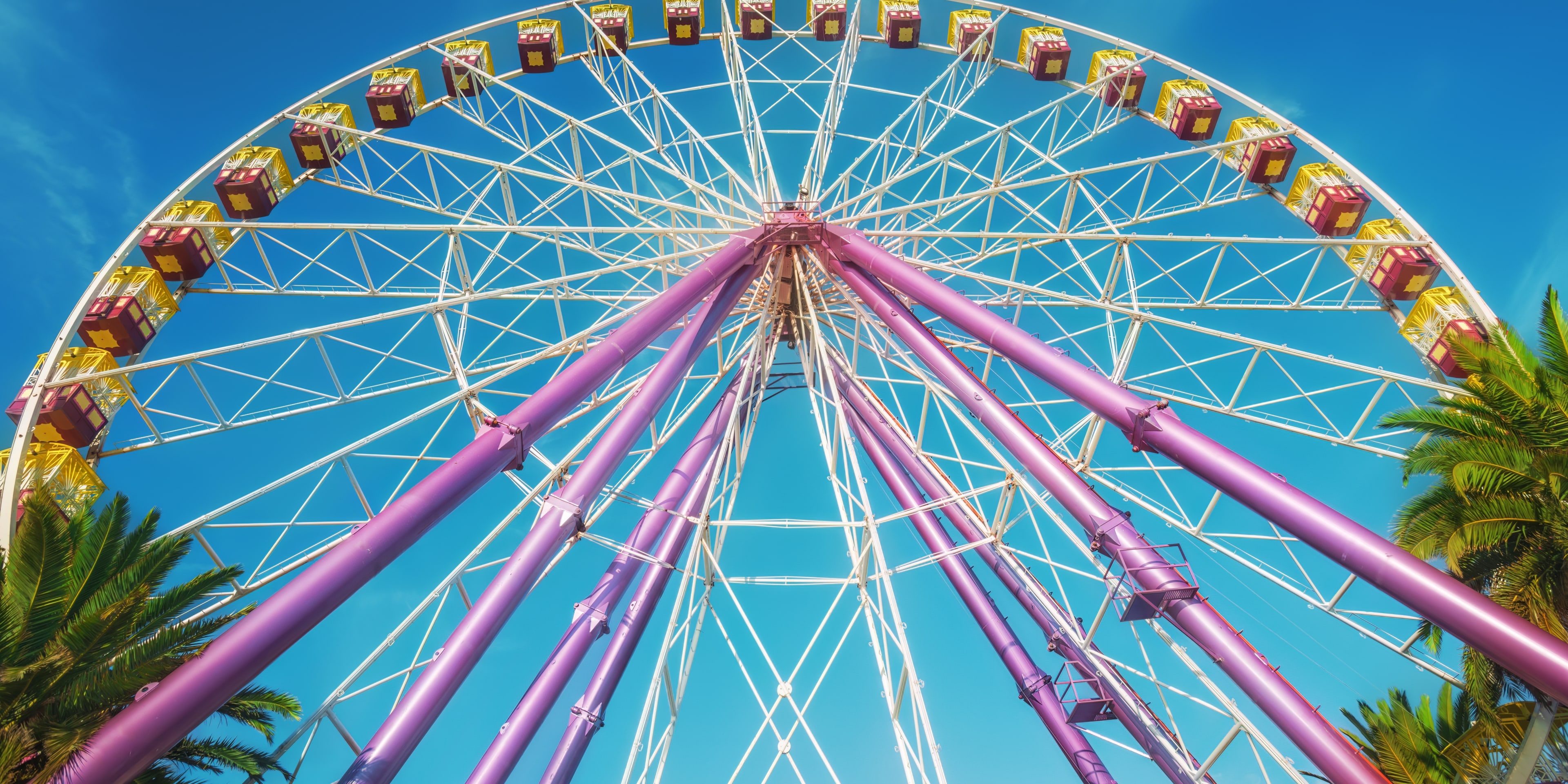 observation wheel view from the ground