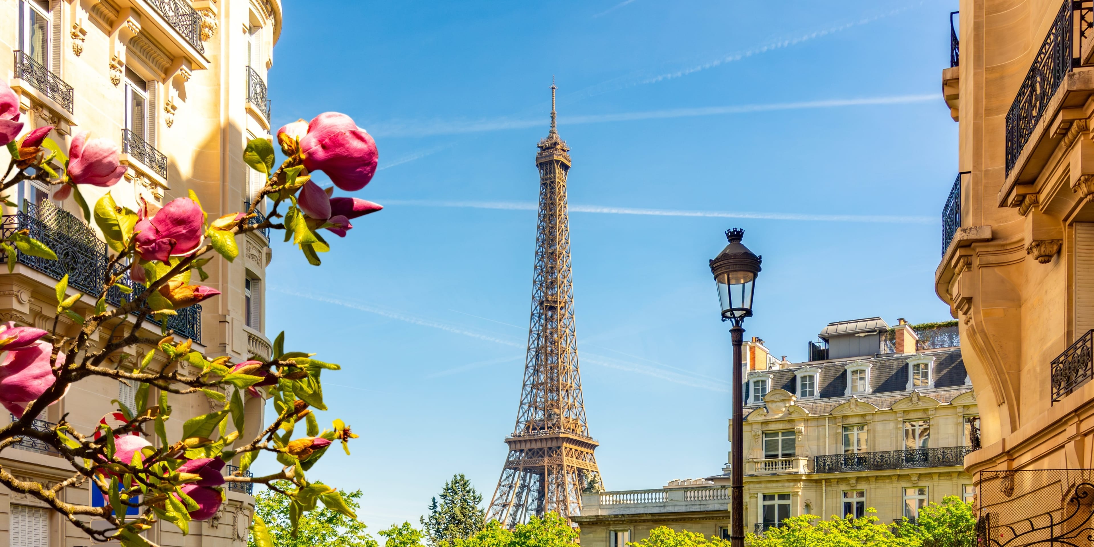 View of Eiffel Tower