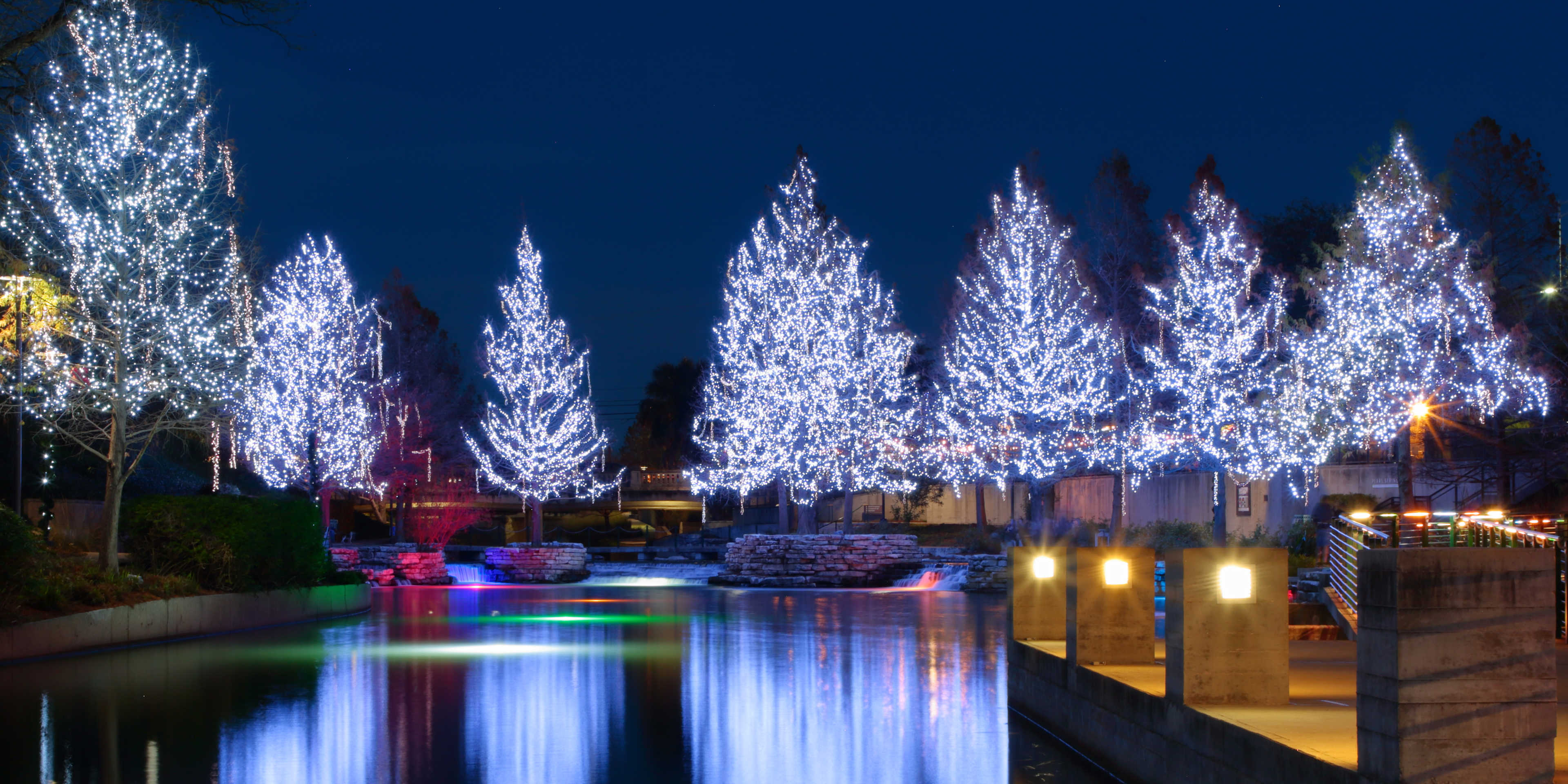 trees lit at night in san antonio's pearl district