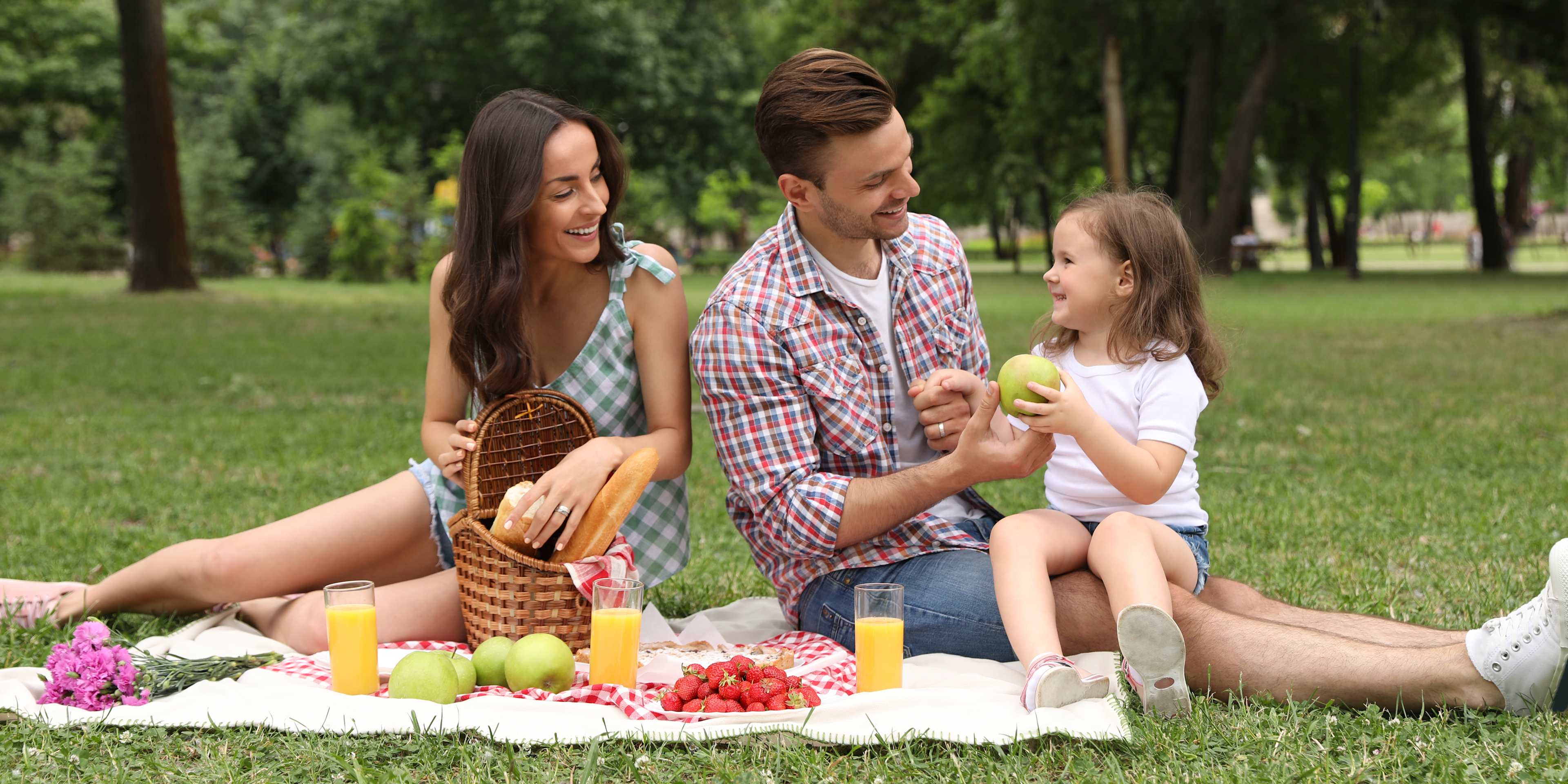 Family Having a Picnic