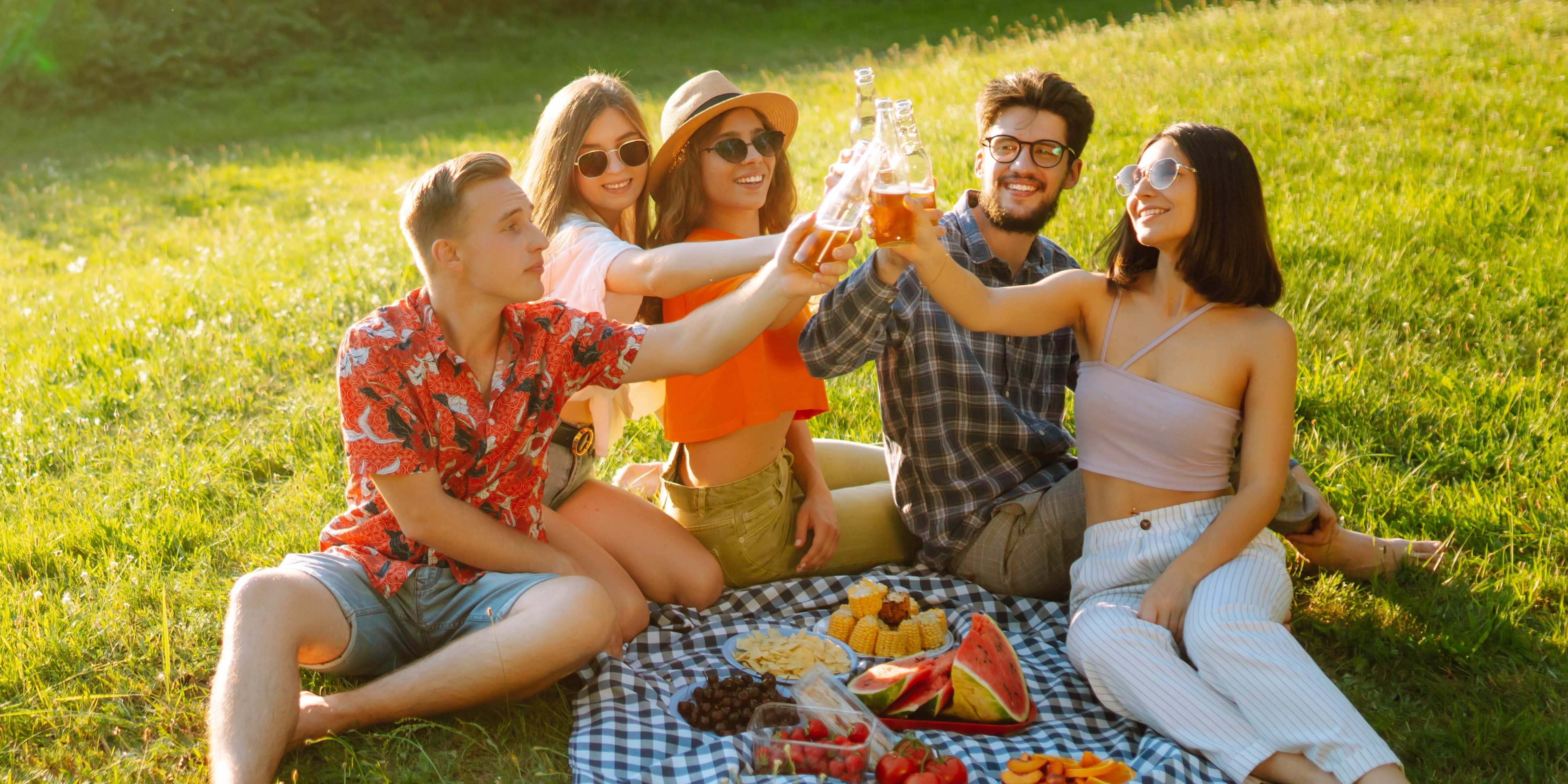 Friends Having a Picnic