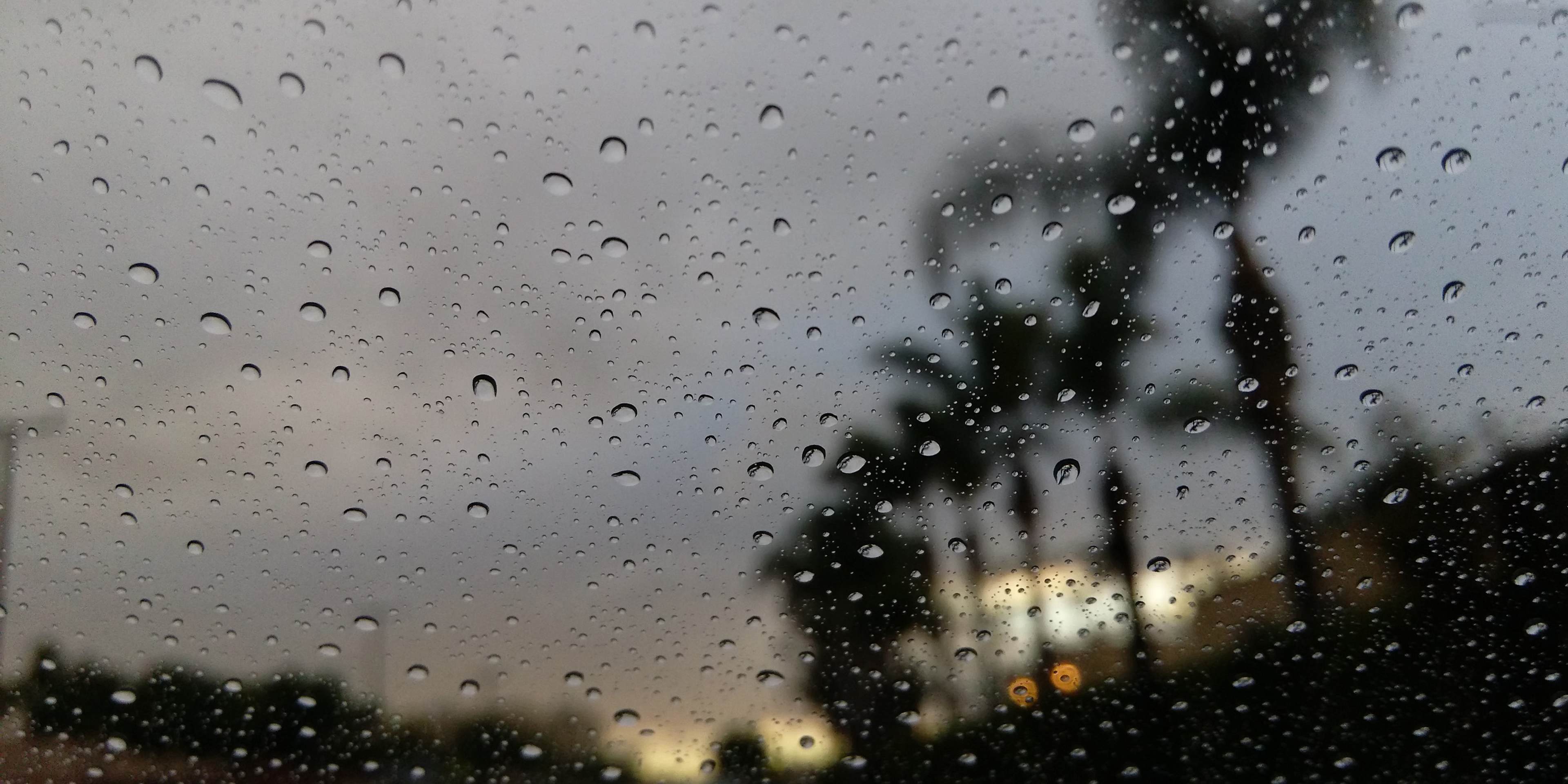 Raindrops on a Window in LA