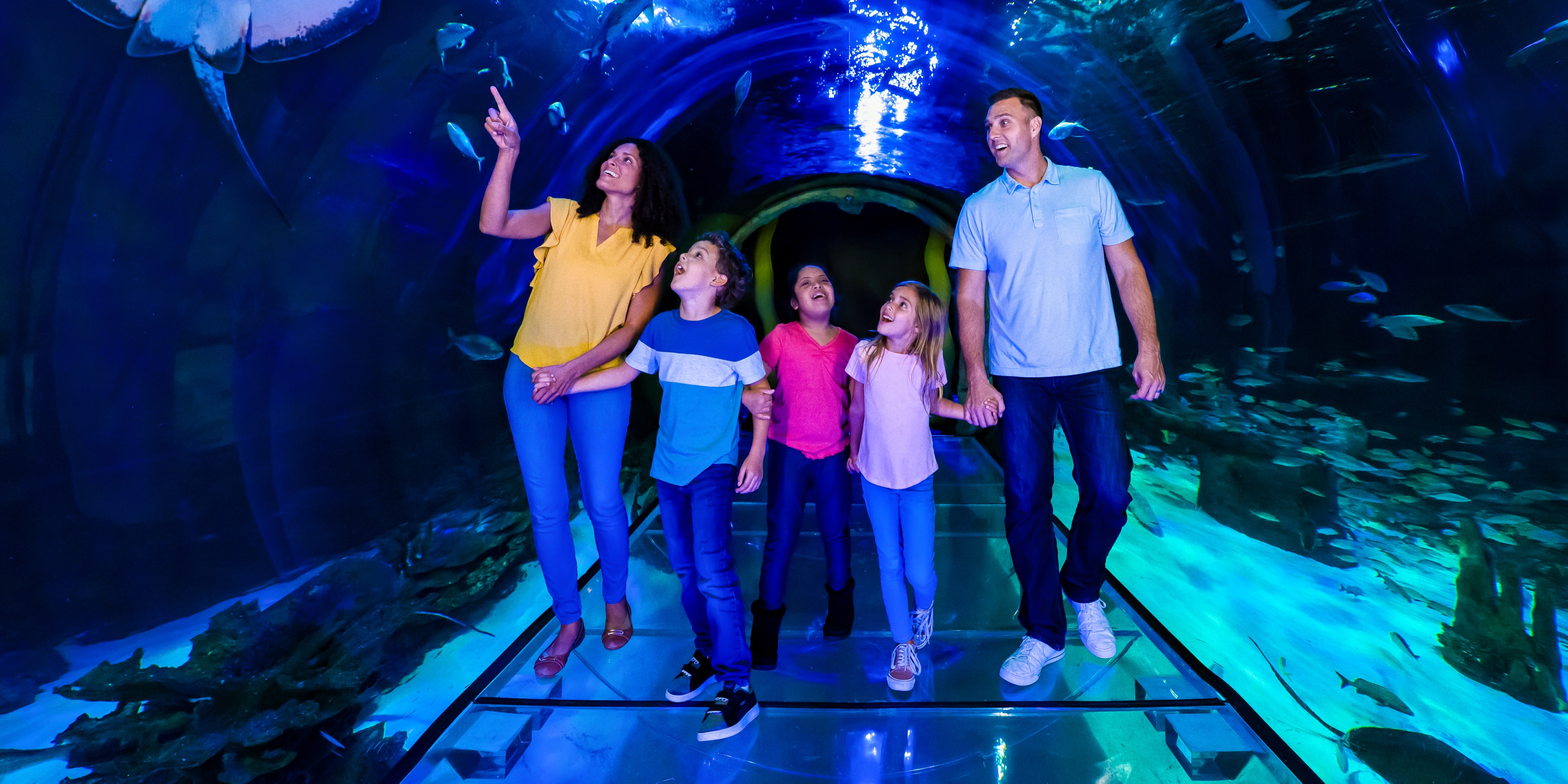 Family at Sea Life