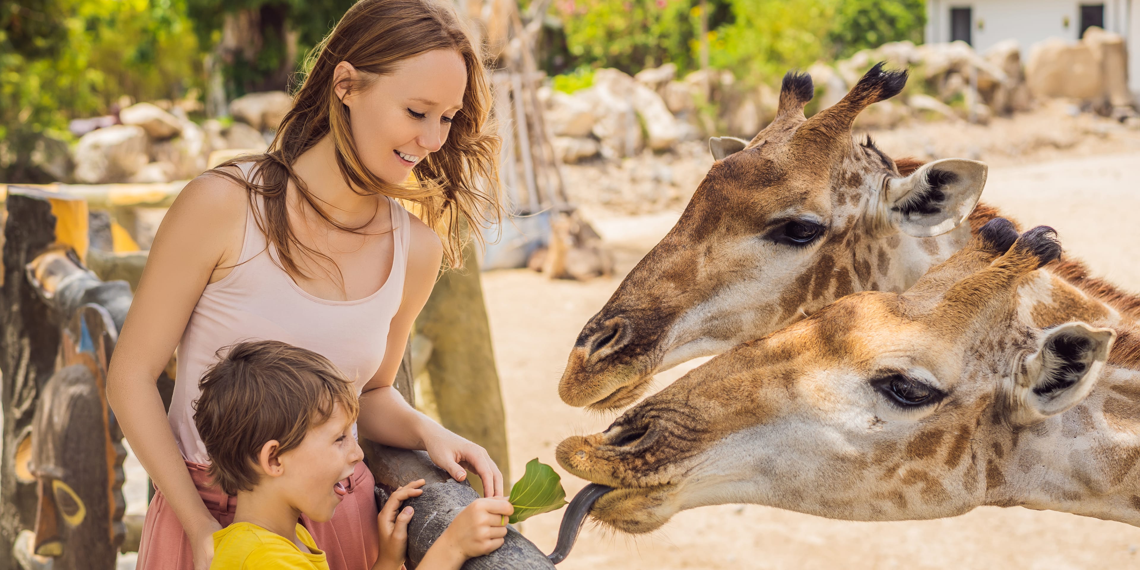 San Diego Zoo e Sea World