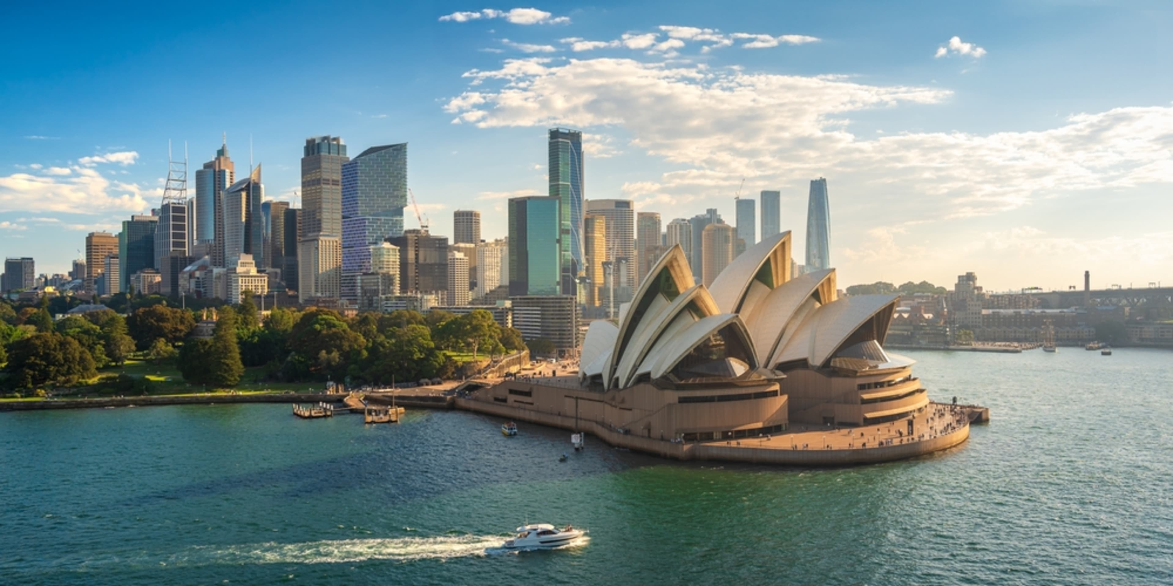 View of Sydney Harbour Bridge from a city park
