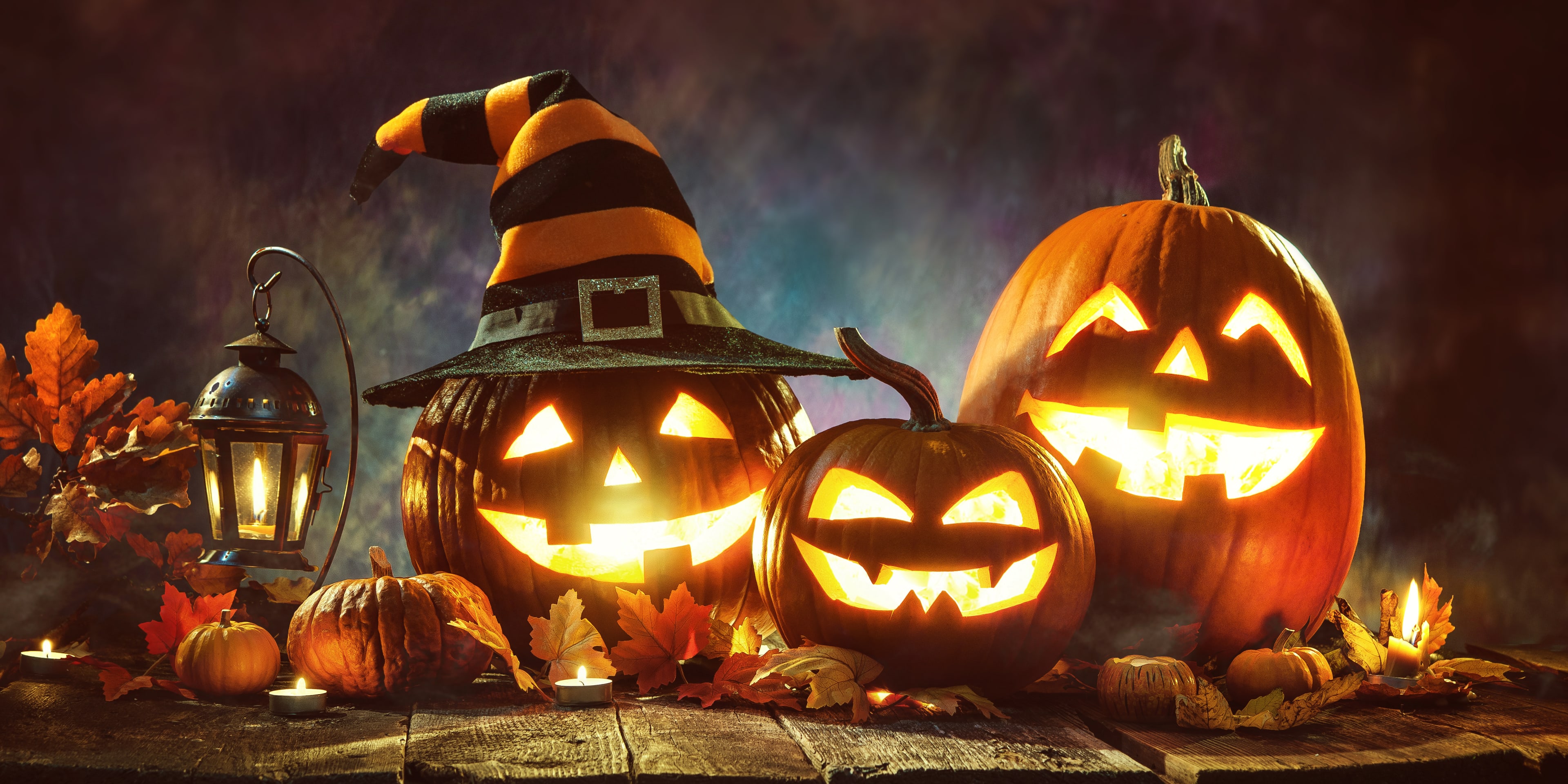 pumpkin patch halloween event