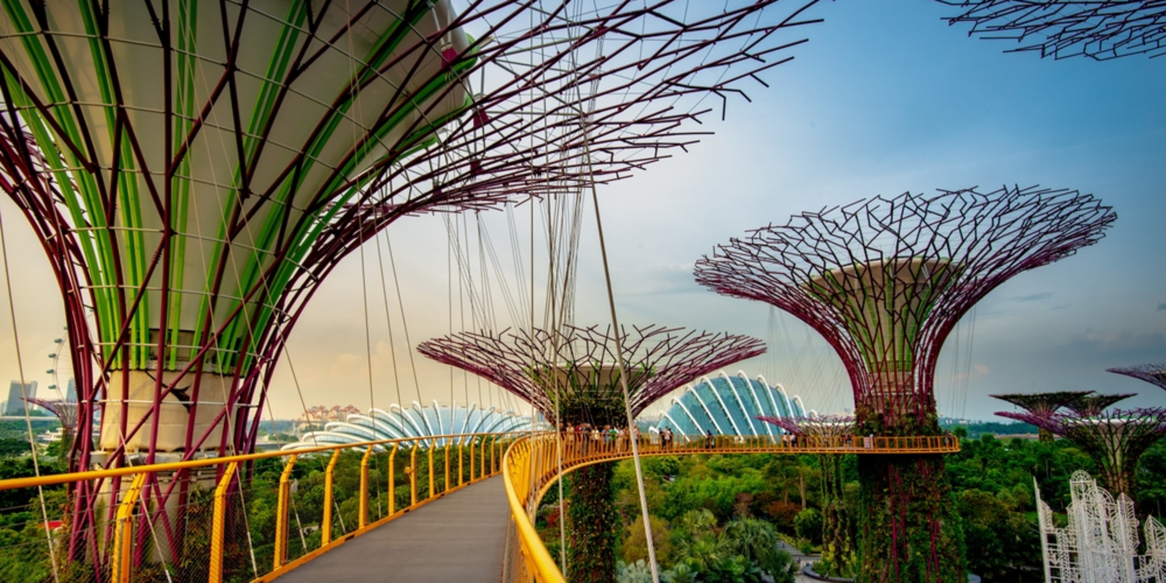 Gardens by the Bay