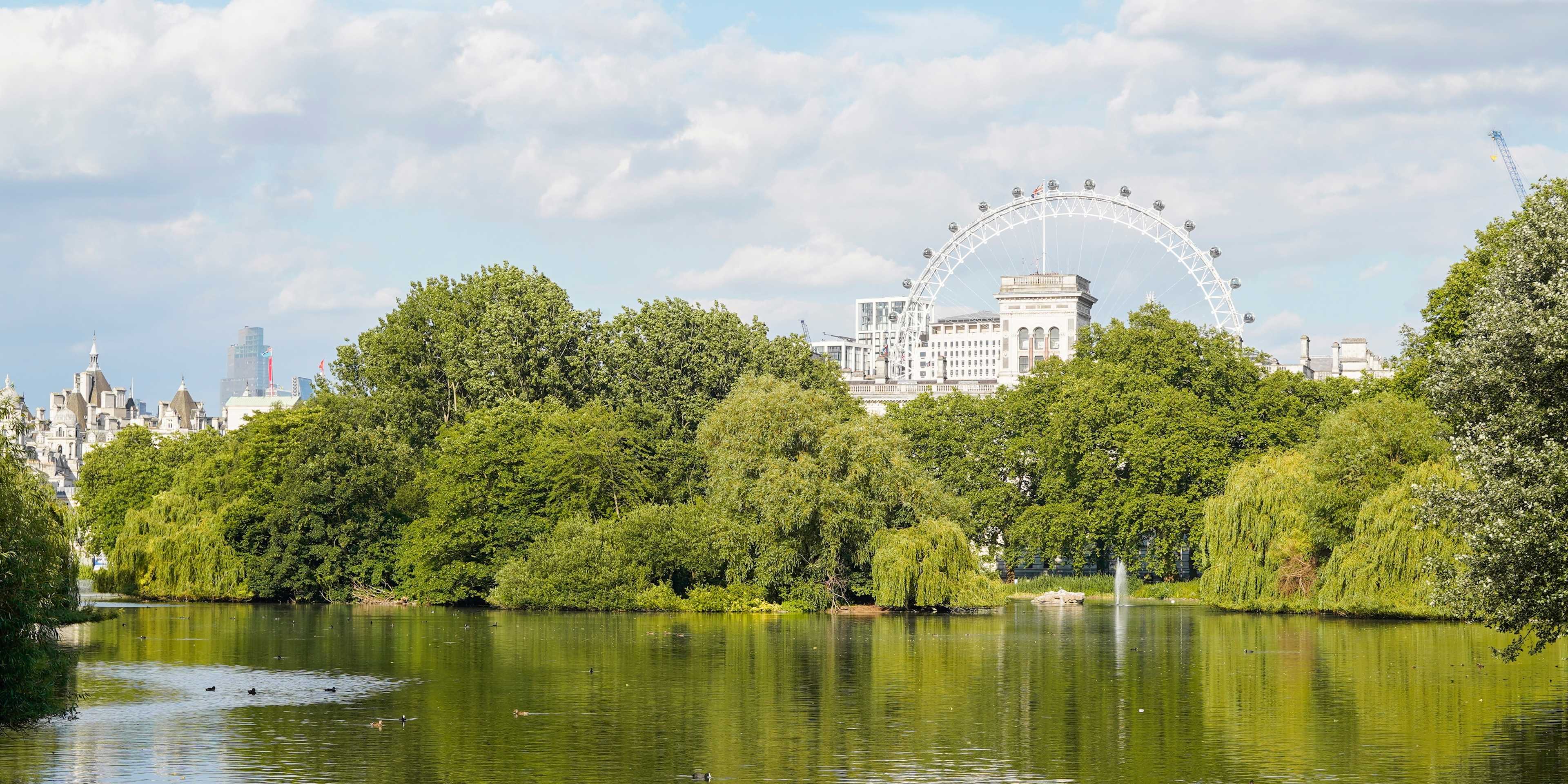 View of the London Eye from St James' Park