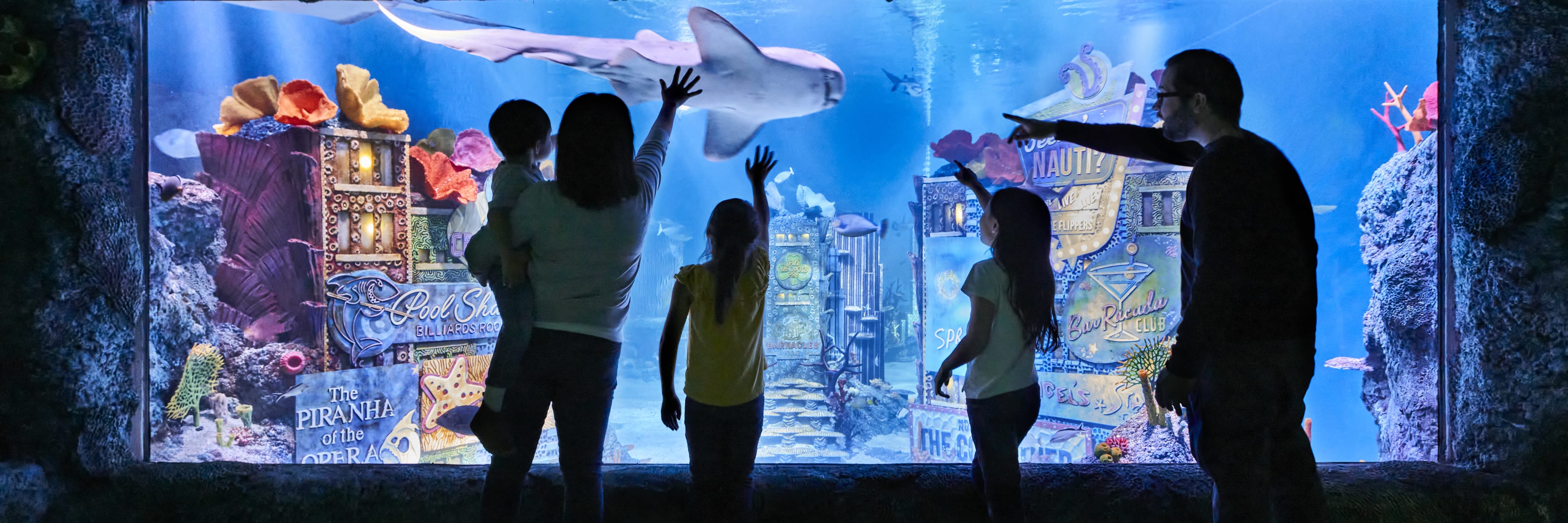 SEA LIFE Aquarium NJ Tickets - Free w/ New York Pass®