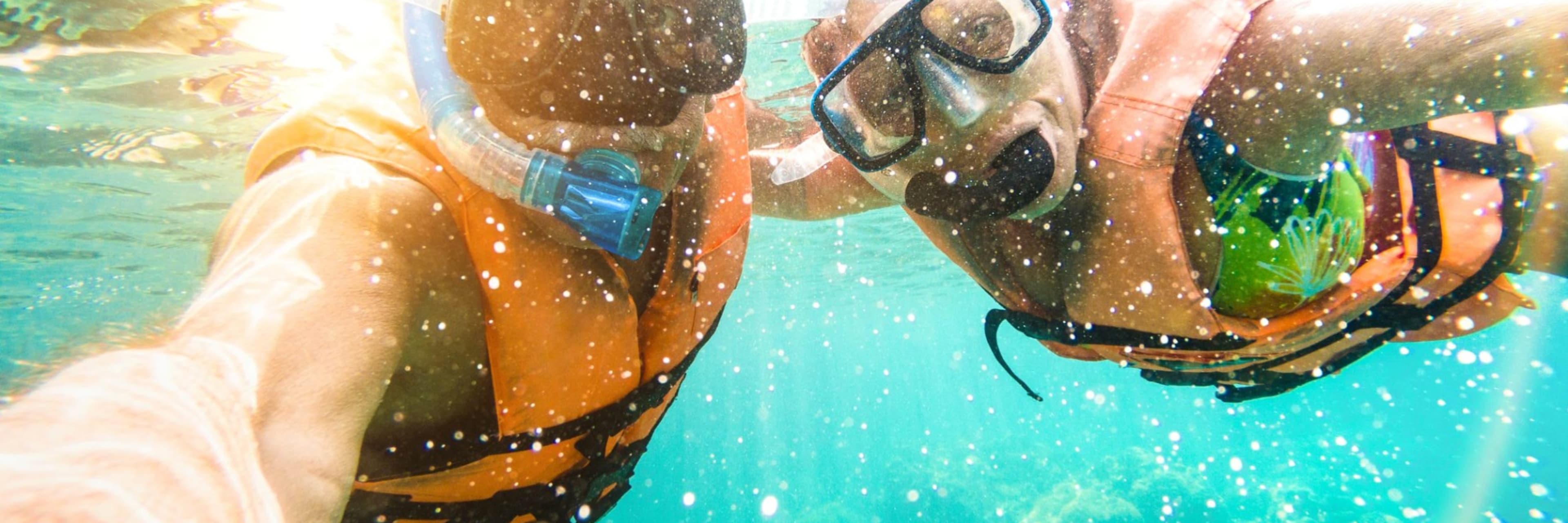 Fort Lauderdale Glass Bottom Boat Tour   Snorkeling Trip Discount