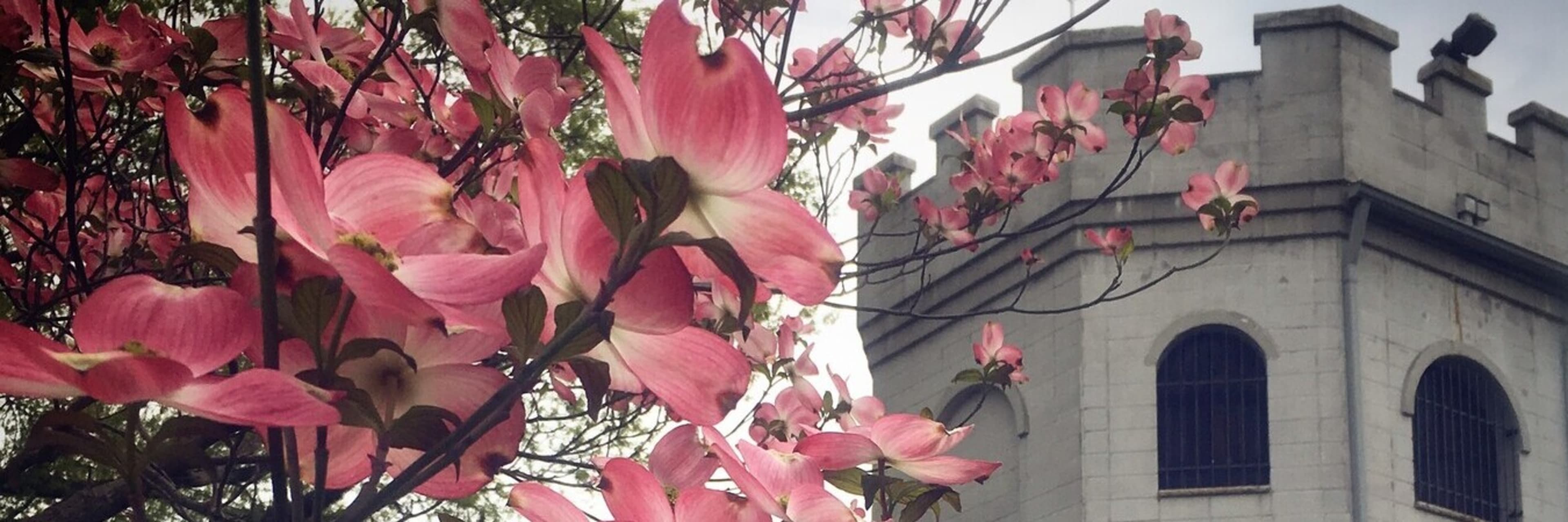 View of a turret and blooms in the Connie Gretz Secret Garden.